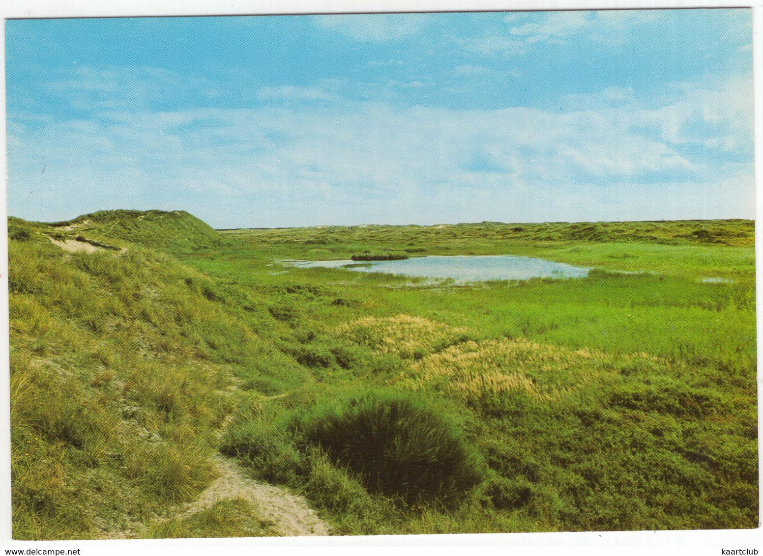 Groeten Van Het Eiland Ameland - (Wadden, Nederland / Holland - Nr. L 5609 - Natuur, Meertje - Ameland