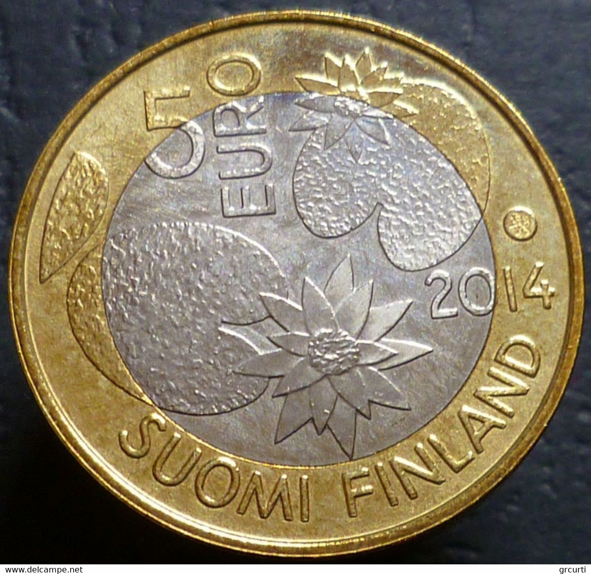 Finlandia - 5 Euro 2014 - Natura Del Nord: Medusa E Alghe - KM# 206 - UNI 5-14 Cu - Finlande