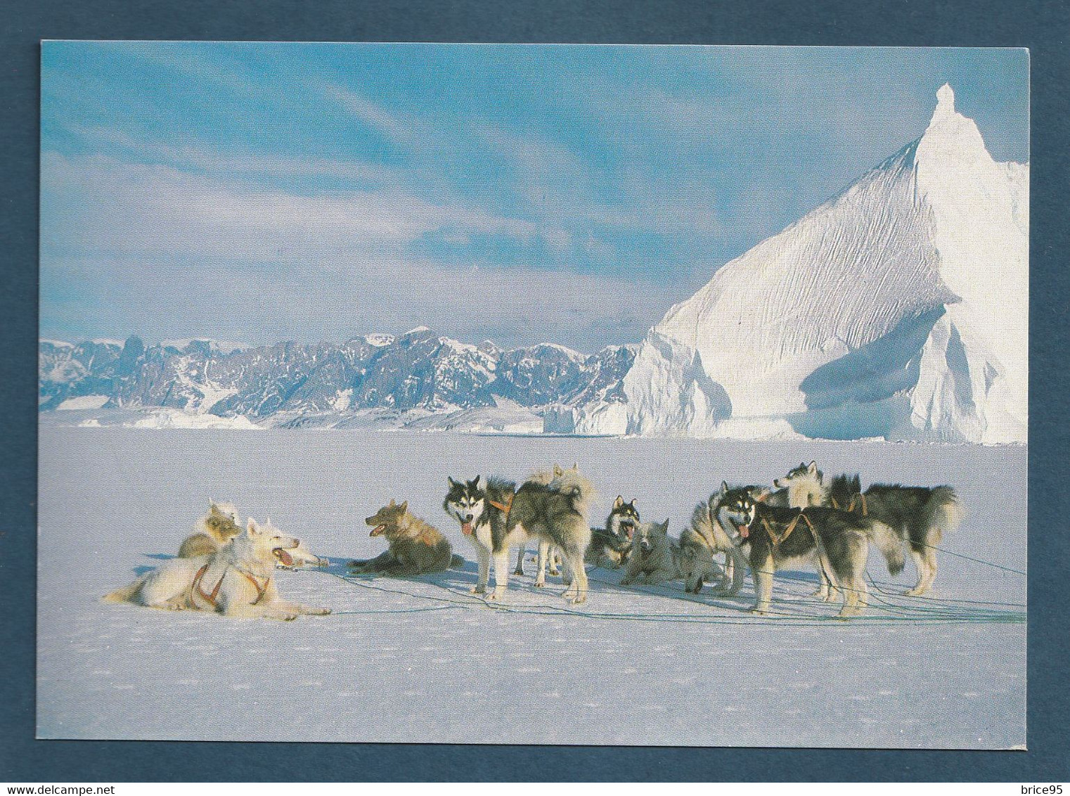 ⭐ TAAF - Carte Postale - Connaissances Des Régions Polaires - Raid Autour Du Plus Grand Fjord Du Monde ⭐ - TAAF : Terres Australes Antarctiques Françaises