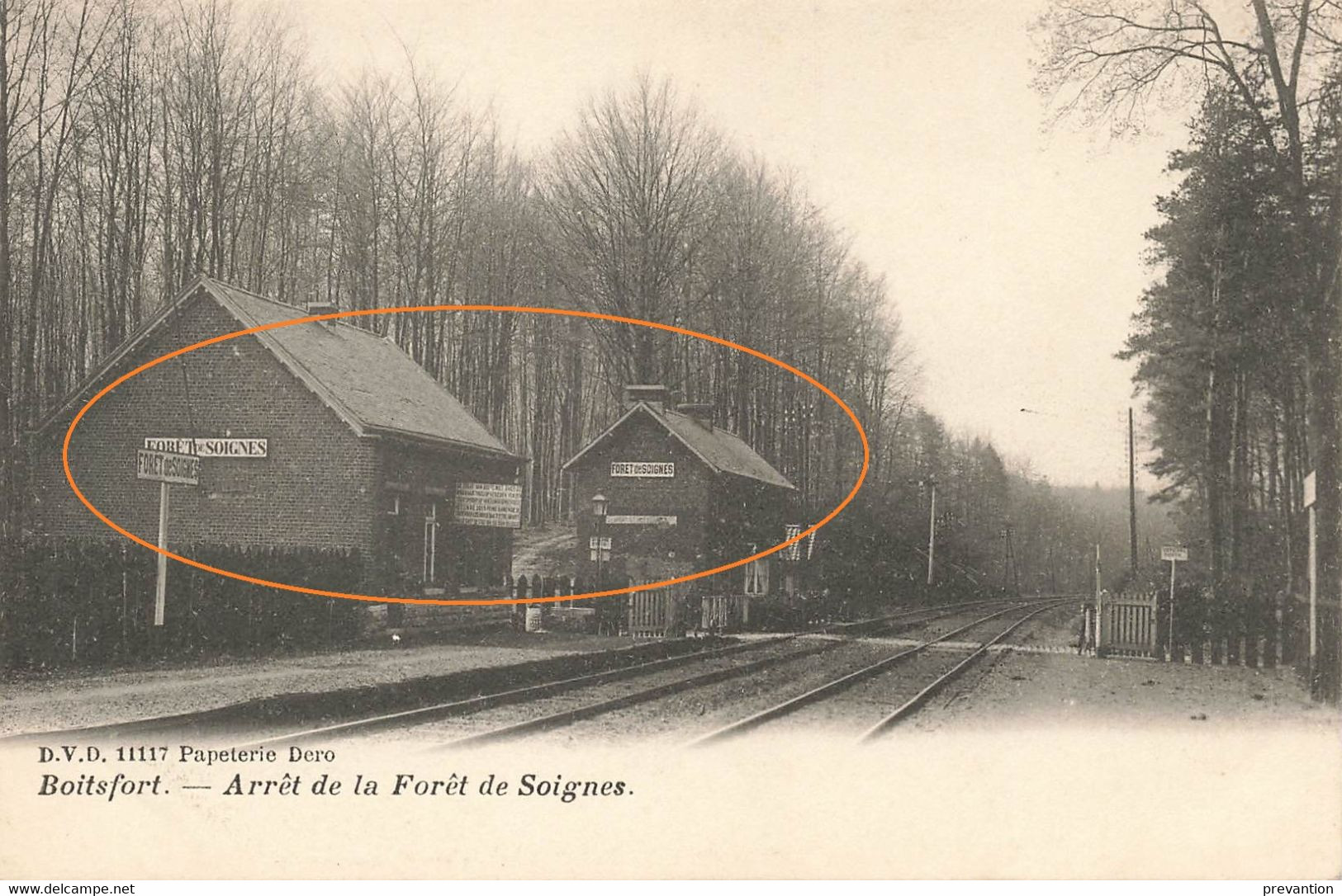 BOITSFORT - Arrêt De La Forêt De Soignes - Watermaal-Bosvoorde - Watermael-Boitsfort