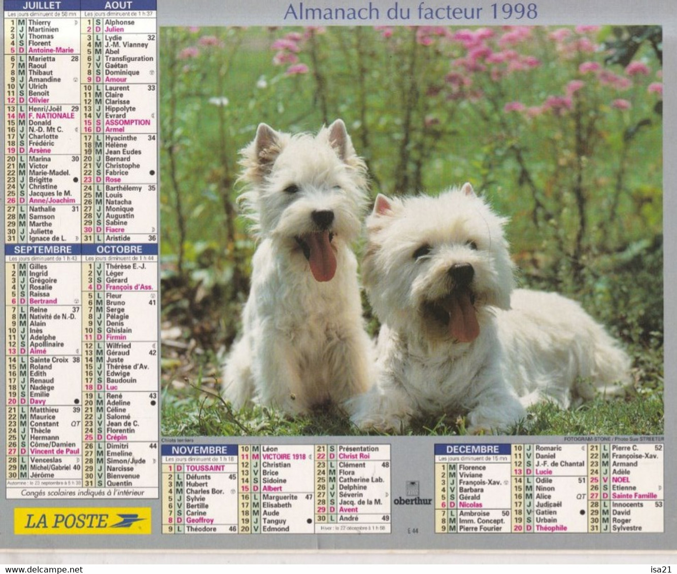 Almanach Du Facteur, Calendrier De La Poste, 1999 : Haute-Saône, Belfort: Les Chiens: Yorkshire, Terriers - Grand Format : 1991-00