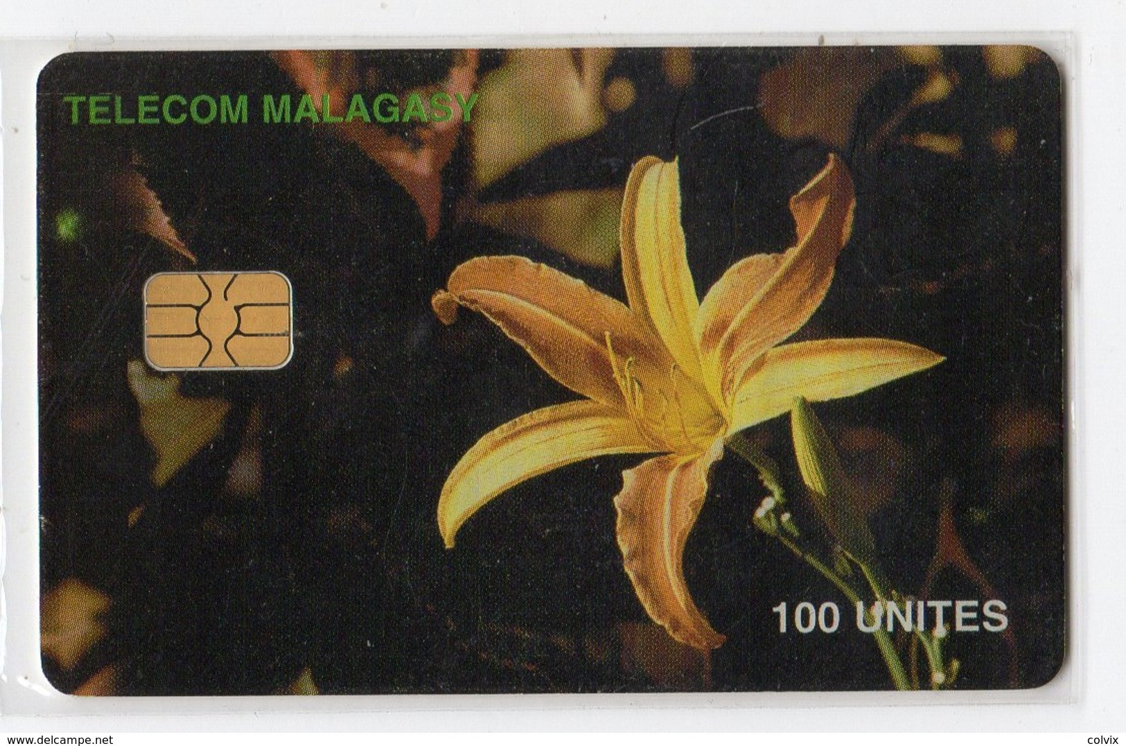 MADAGASCAR Ref MV Cards MDG-50  100 U ORCHIDEE - Madagascar