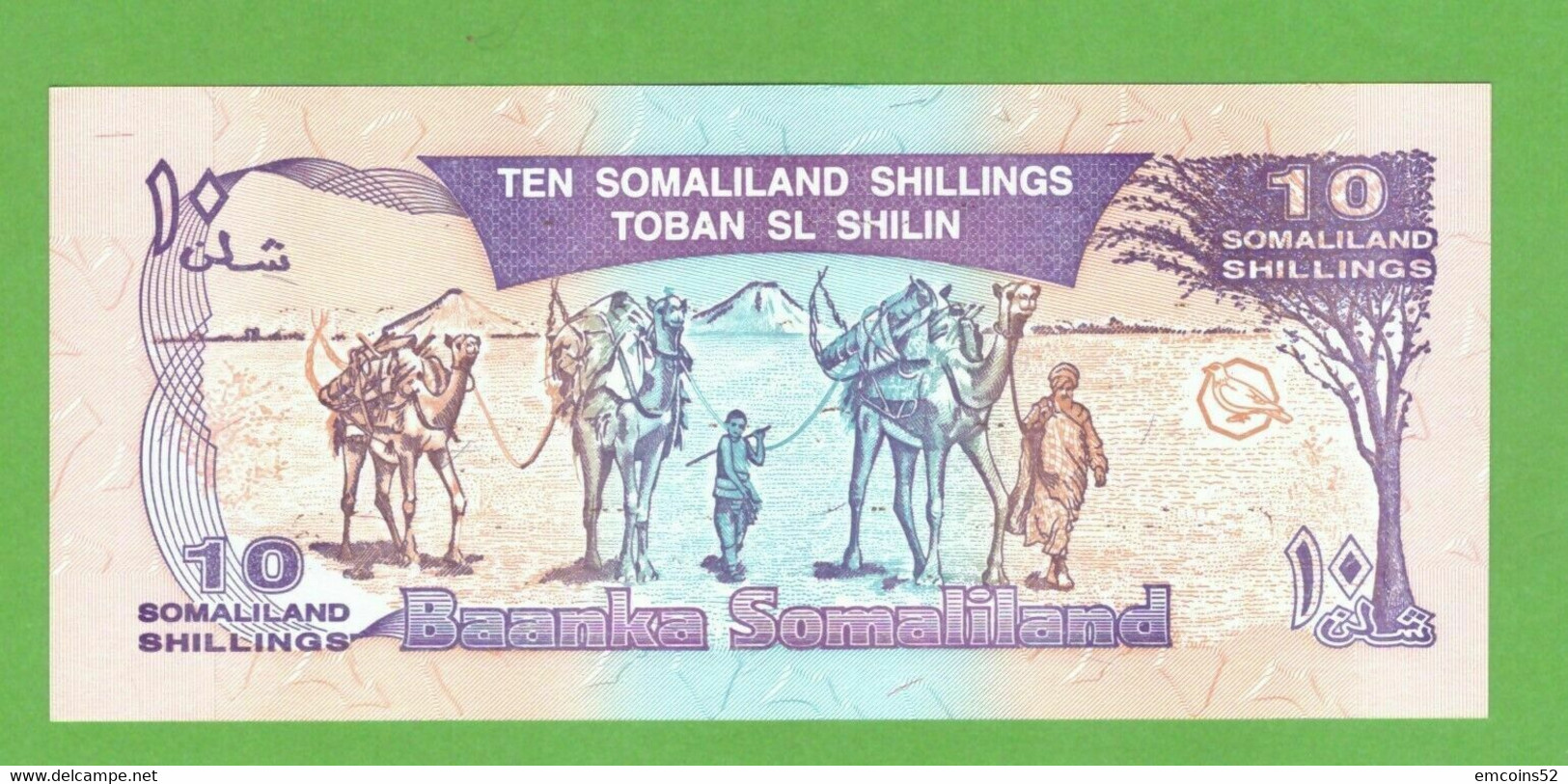 SOMALILAND 10 SHILLINGS 1996  P-9  UNC - Somalie