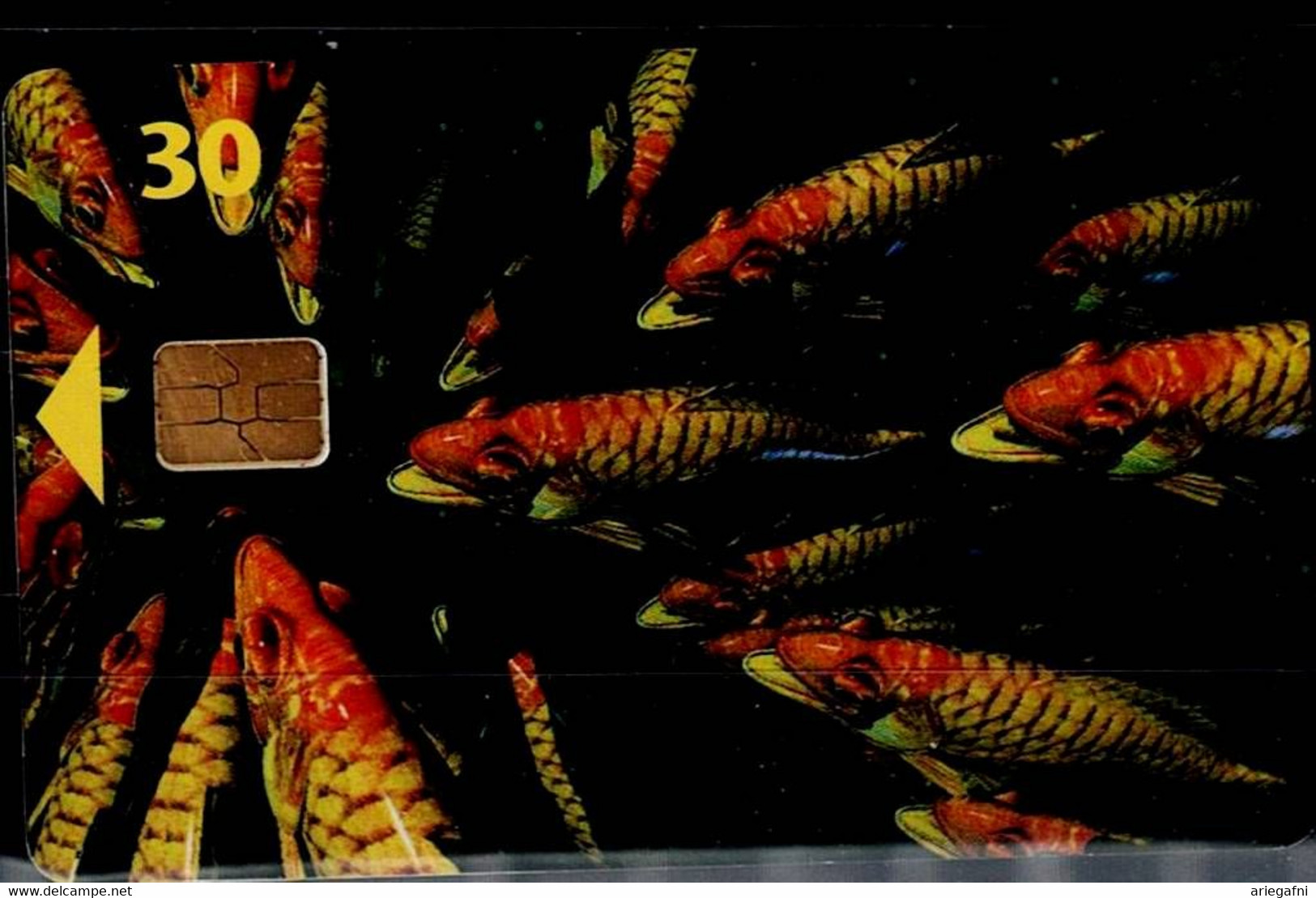 DANMARK 1999 PHONECARD FISHES USED VF!! - Vissen