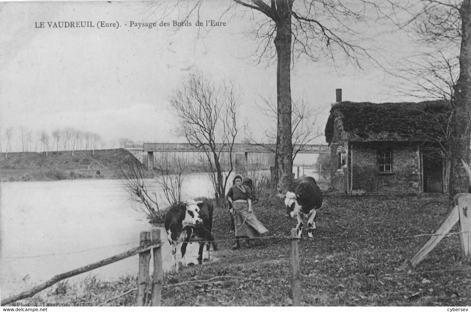 LE VAUDREUIL - Paysage Des Bords De L'Eure - Vaches - Animé - Le Vaudreuil