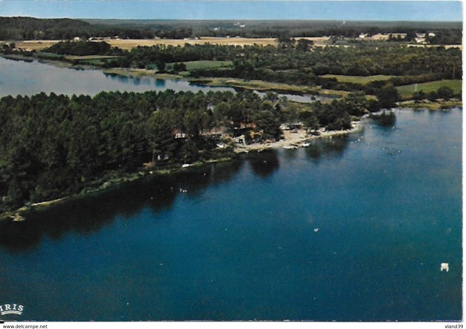 Soustons - Vers Seignosse : Le Lac Blanc - Soustons