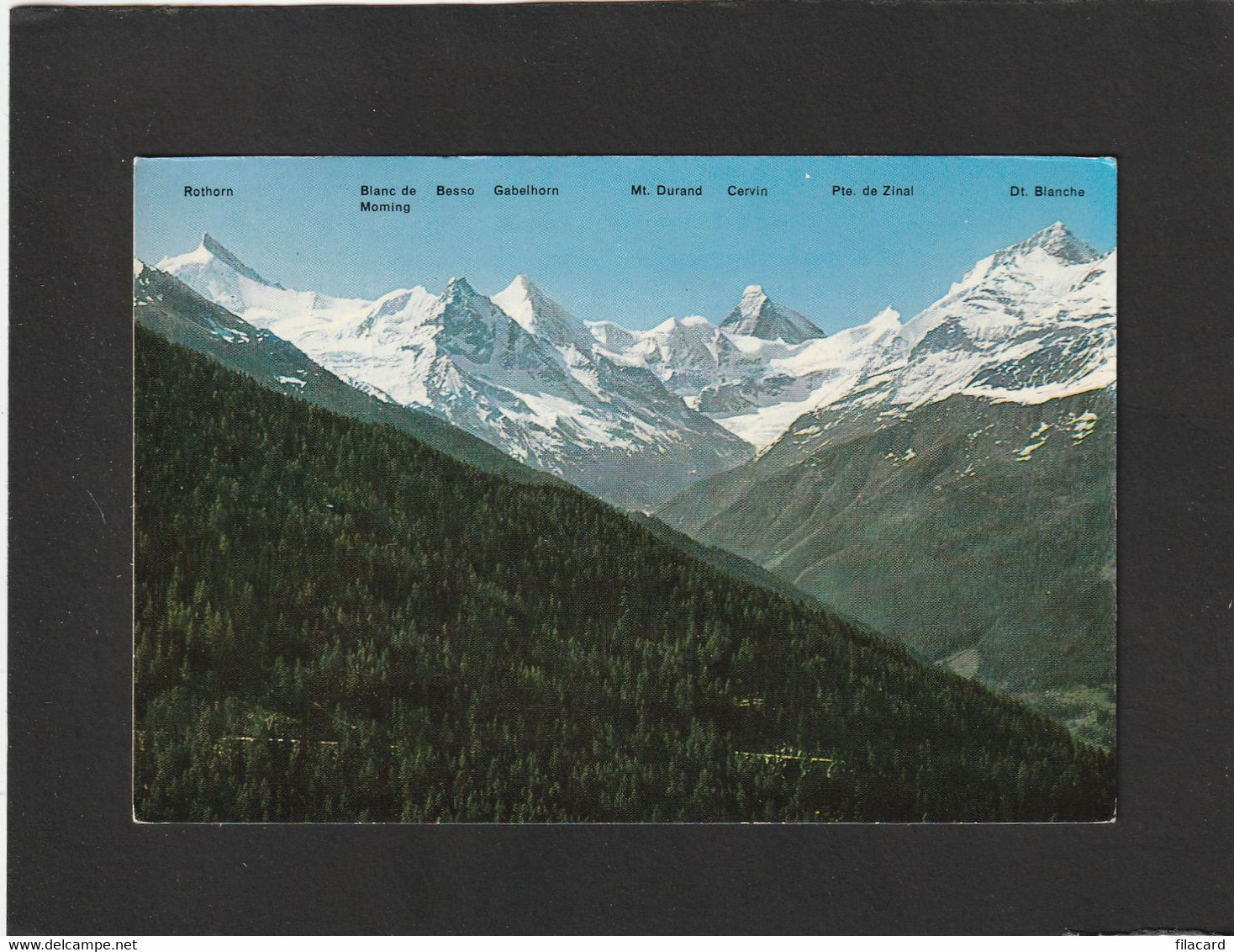 108020        Svizzera,  La  Belle  Foret  De  Chandolin-St-Luc,  Val  D"Anniviers,  VG  1966 - Chandolin