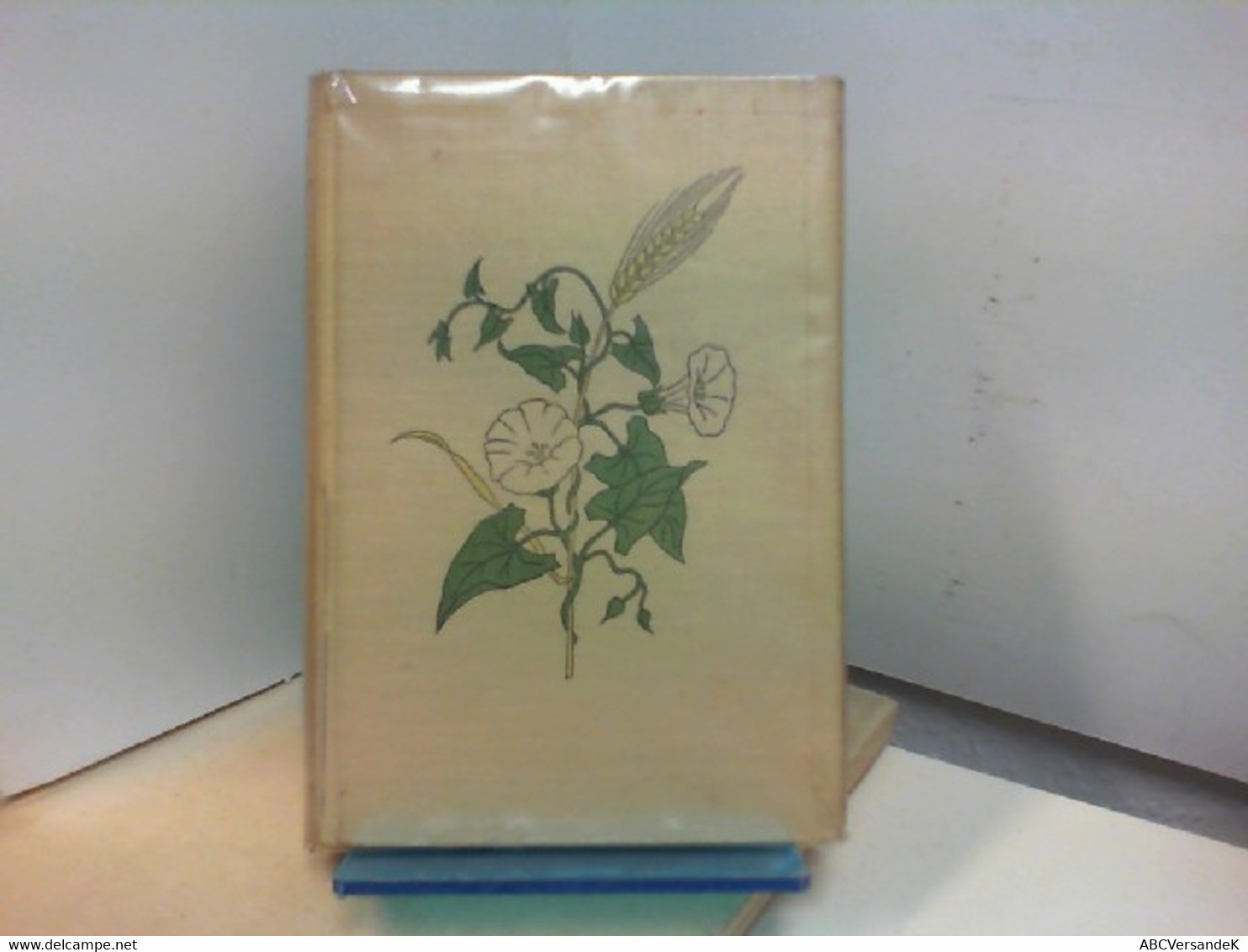 Taschenbuch Einheimischer Pflanzen Mit Besonderer Berücksichtigung Ihrer Lebensverhältnisse - 191 Farbige Pfla - Natuur