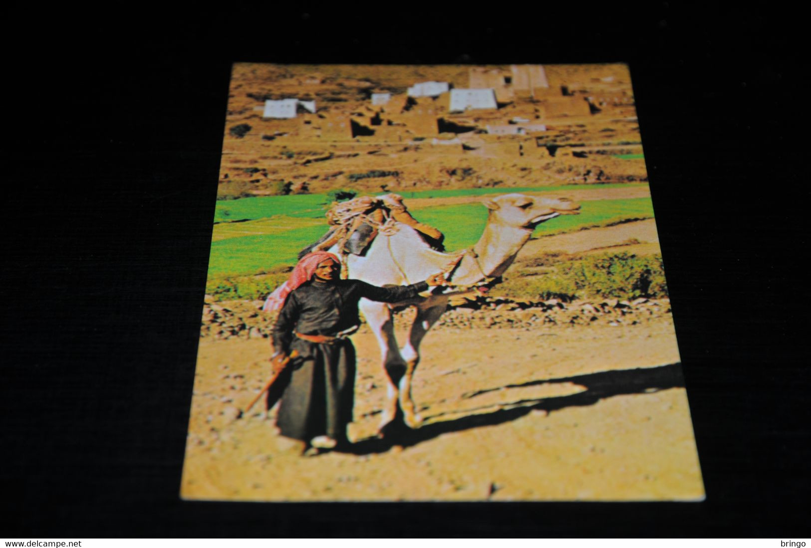 39107-                                                 SAUDI ARABIA, A BEDOUIN IN ASIR-HIGHLANDS - Jirafas