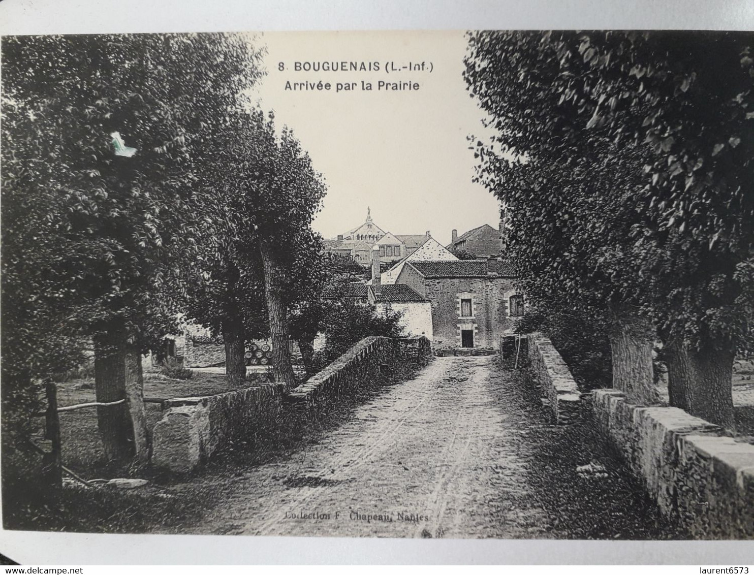 Carte Postale De Bouguenais, Arrivée Par La Prairie, 44 - Bouguenais