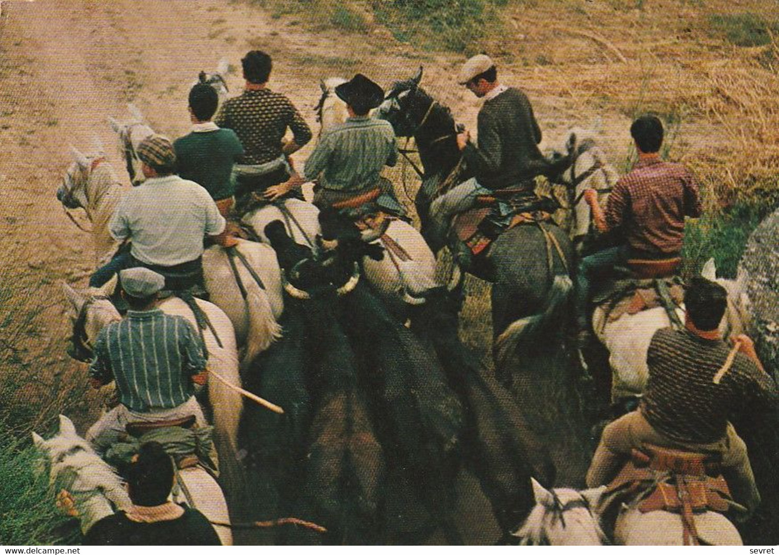 LES BELLES IMAGES DE CAMARGUE - Gardian Et Taureaux En Abrivado . Rare .  CPM - Corridas