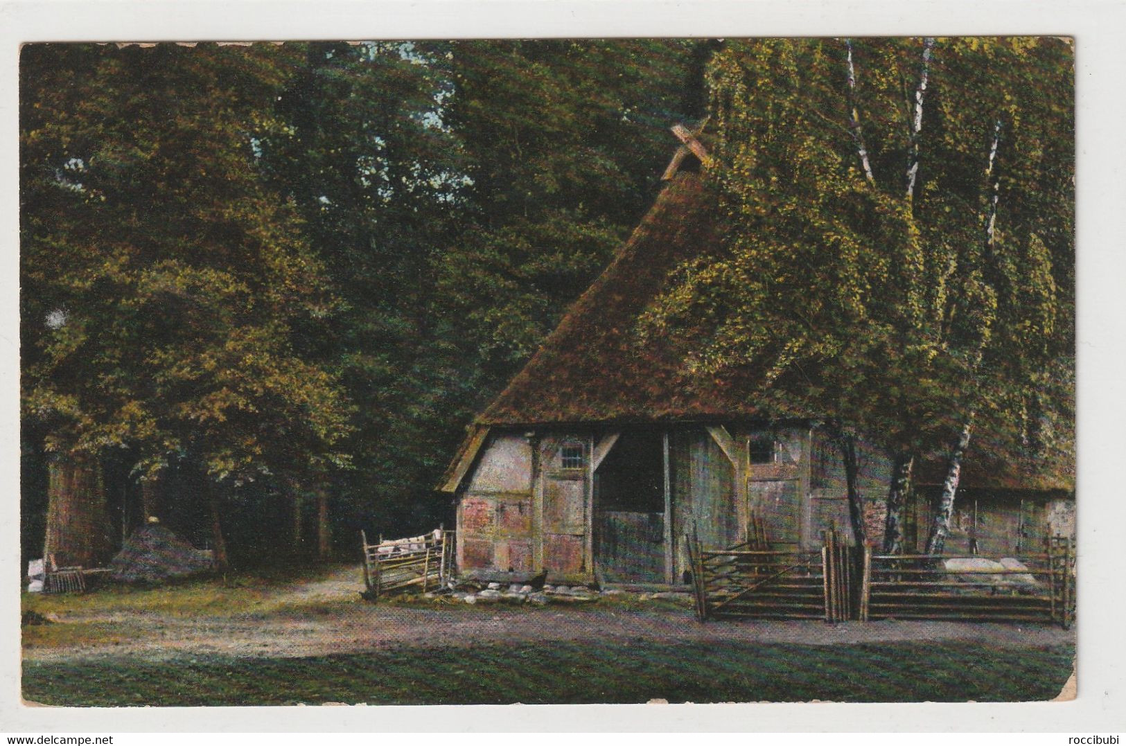 Lüneburger Heide - Lüneburger Heide