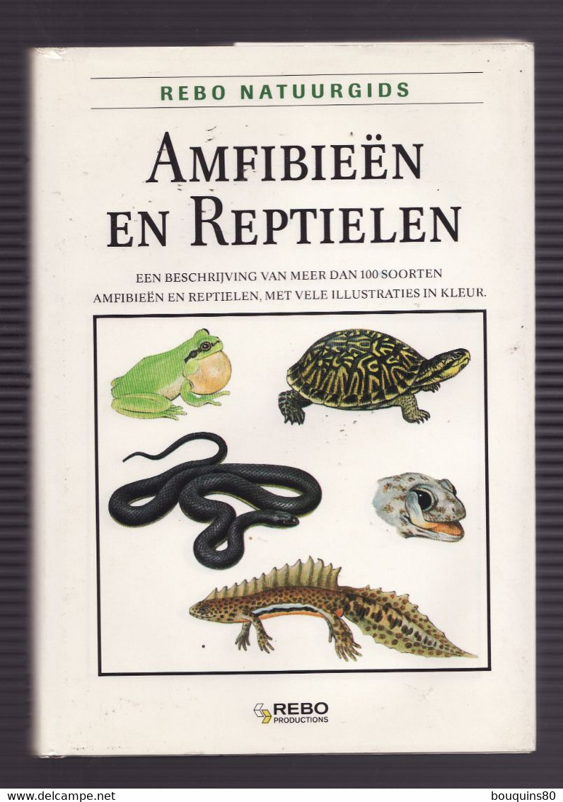 AMFIBIEEN EN REPTIELEN De REBO NATUURGIDS 1992 écrit En Néerlandais Les Amphibiens Et Les Reptiles - Sachbücher
