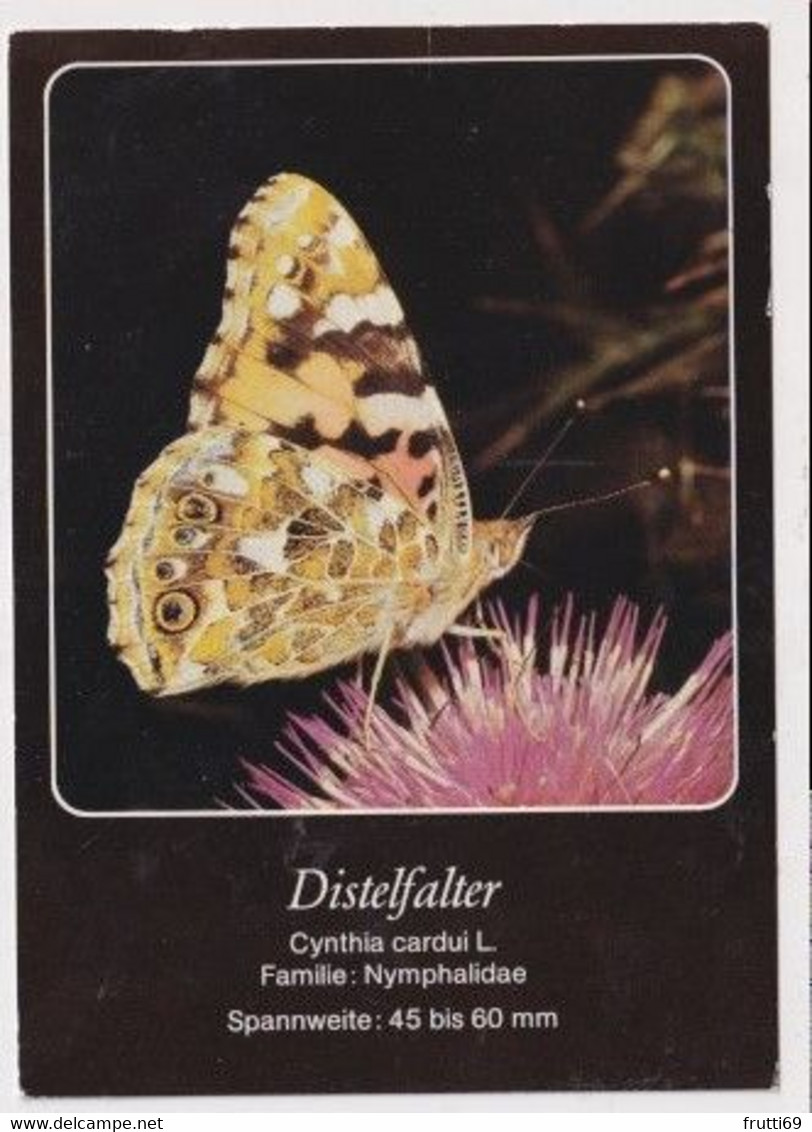 AK 030210 BUTTERFLY - Distelfalter - Papillons