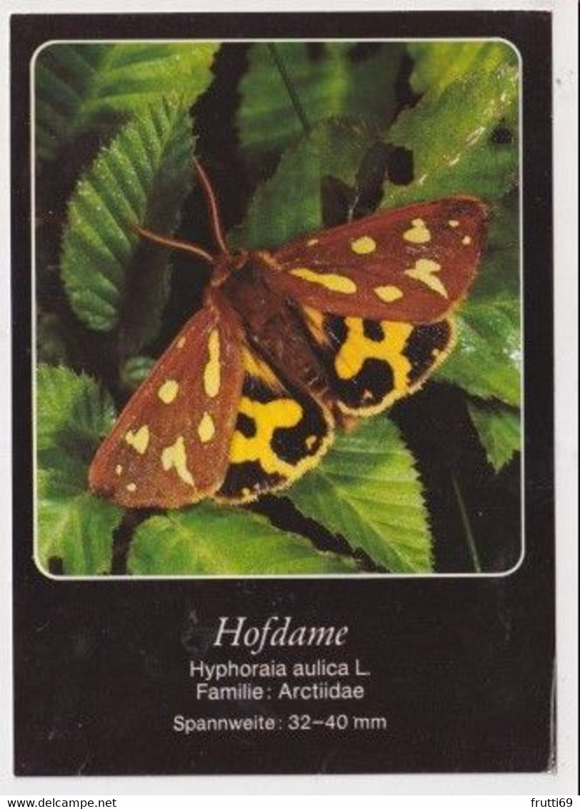 AK 030212 BUTTERFLY - Hofdame - Papillons