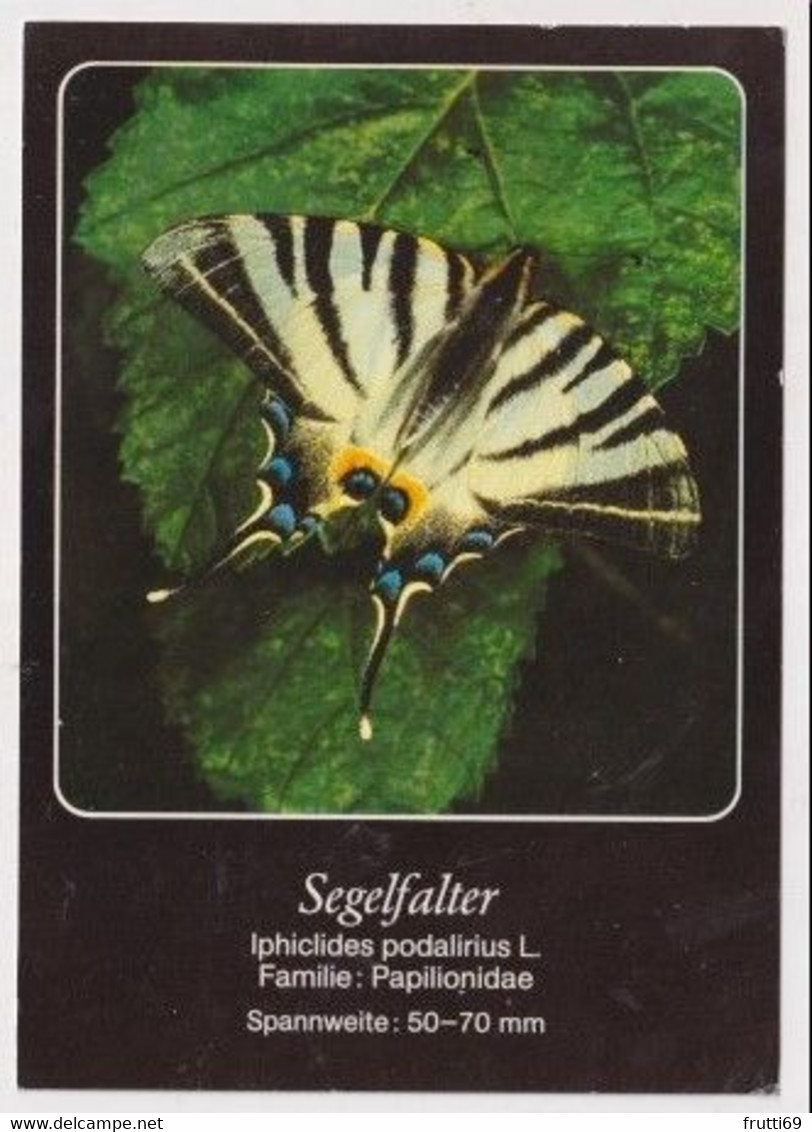 AK 030215 BUTTERFLY - Segelfalter - Papillons