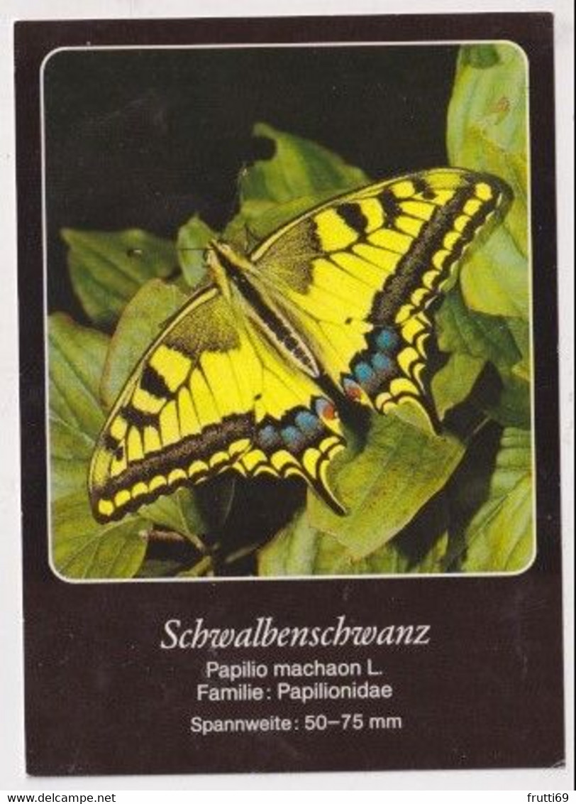 AK 030218 BUTTERFLY - Schwalbenschwanz - Papillons