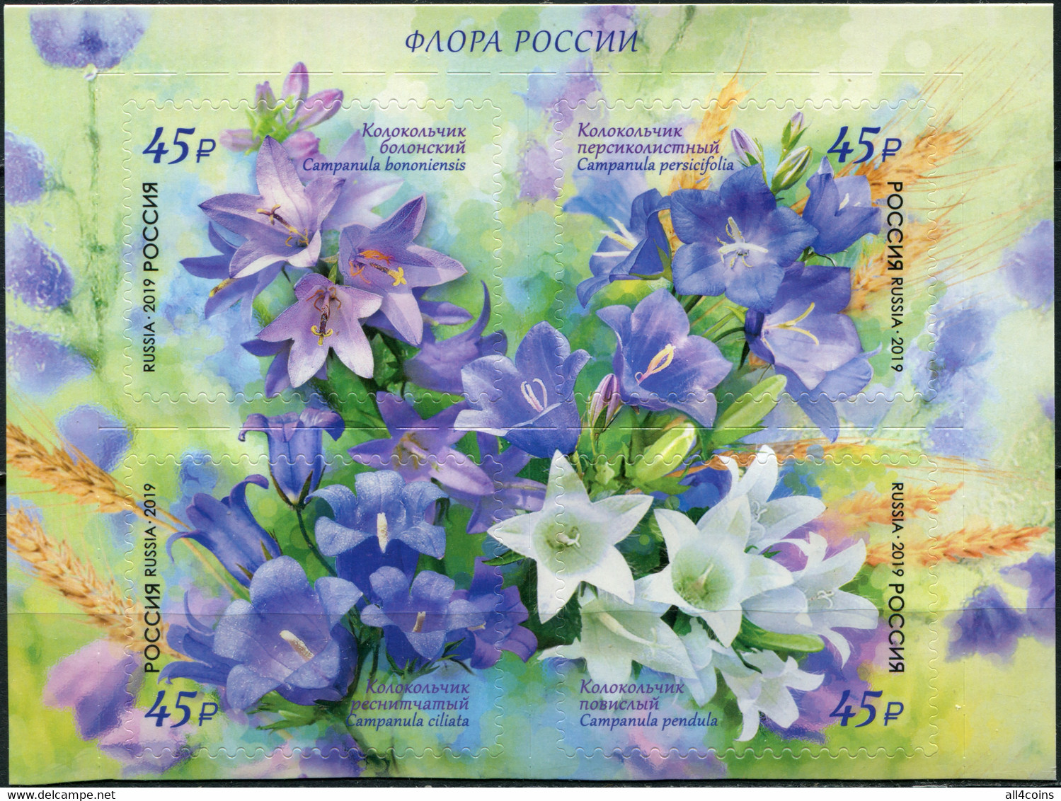 Russia 2019. Bellflower (MNH OG) Block Of 4 Stamps - Unused Stamps