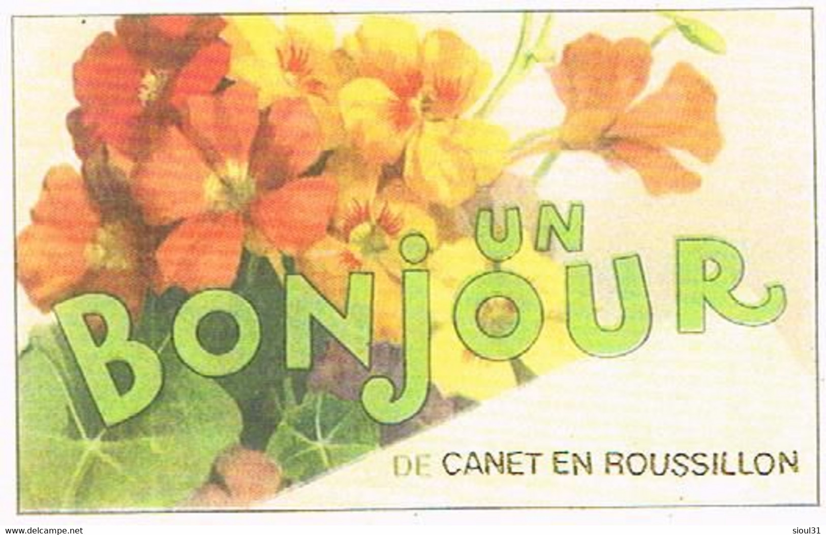 66 UN BONJOUR  DE  CANET EN ROUSSILLON   CPM  TBE 353 - Canet En Roussillon