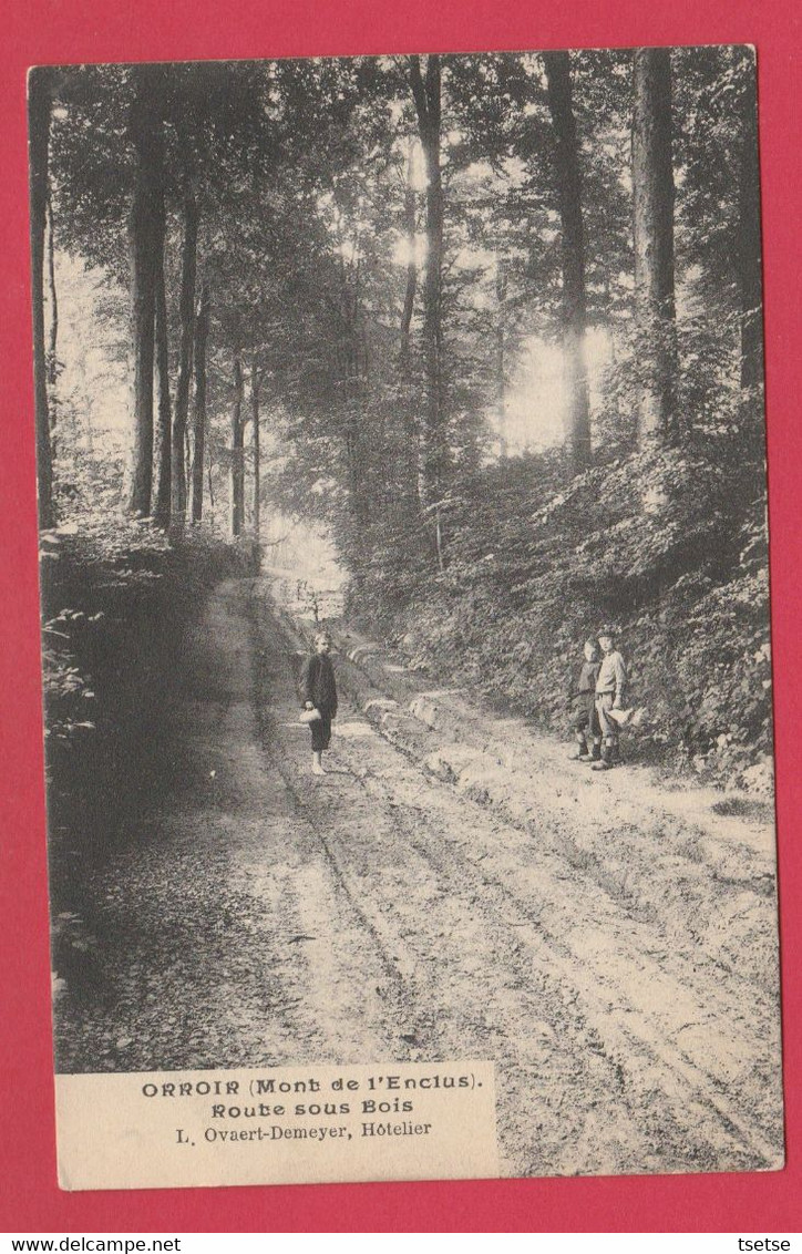 Orroir - Route Sous Bois ... Garçonnets - 1907( Voir Verso ) - Mont-de-l'Enclus