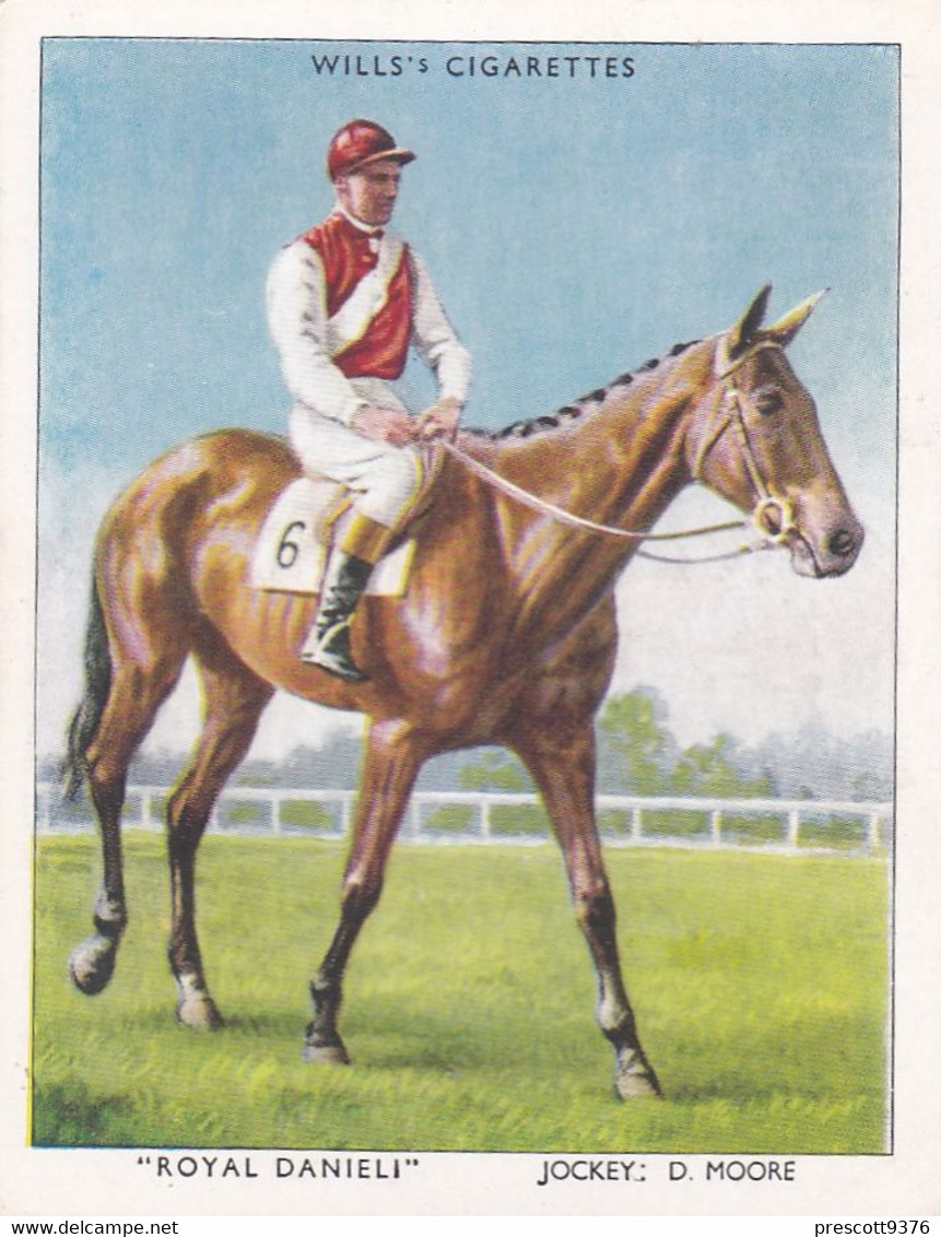 23 Royal Daniel, D Moore  - Racehorses & Jockeys 1938 - Original Wills Cigarette Card - L Size 6x8cm - Wills