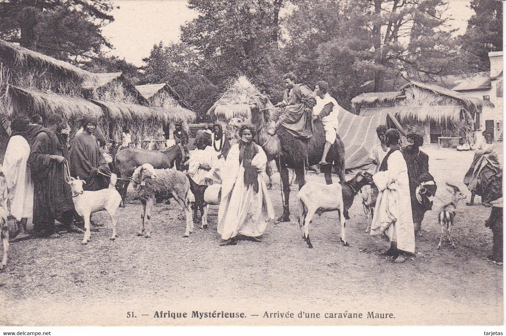 POSTAL DE AFRIQUE MYSTERIEUSE - ARRIVEE D'UNE CARAVANE MAURE - Mauritanie