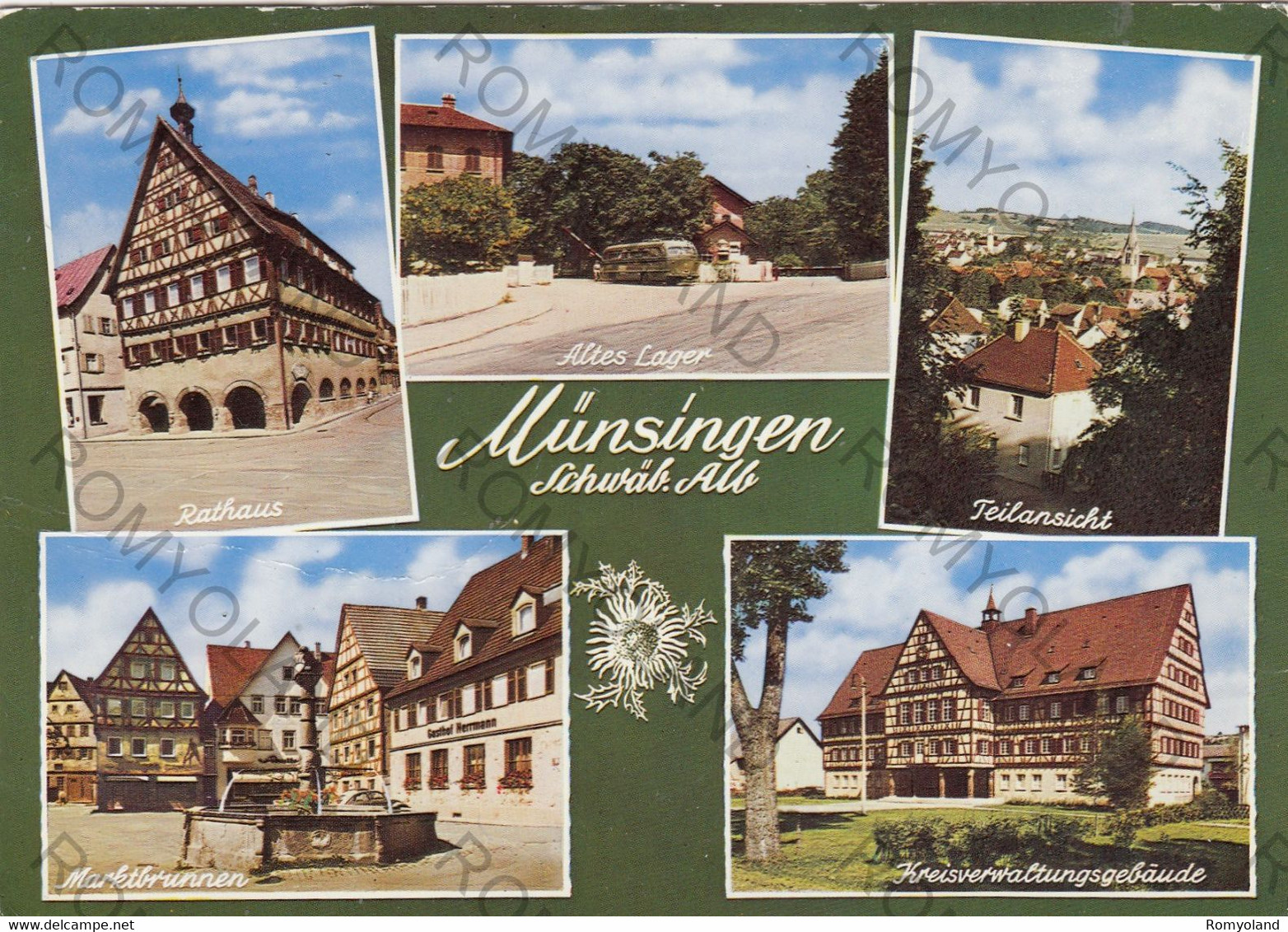 CARTOLINA  MUNSINGEN,SCHUVAB.ALB,BERNE,SVIZZERA,NON VIAGGIATA - Münsingen