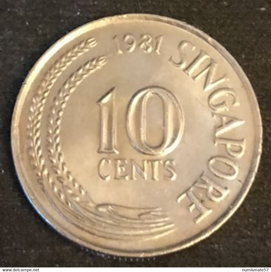 SINGAPOUR - SINGAPORE - 10 CENTS 1981 - Hippocampe - KM 3 - Singapour