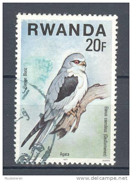 Rwanda 1977 Mi. 899     20 Fr Bird Vogel Oiseau Elanion Blanc - Gebruikt