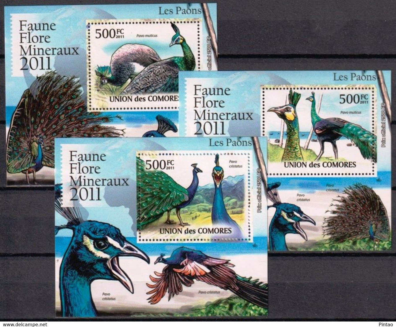 COMORES 2011 -  MNH (AVES)_  FAU0585a - Paons