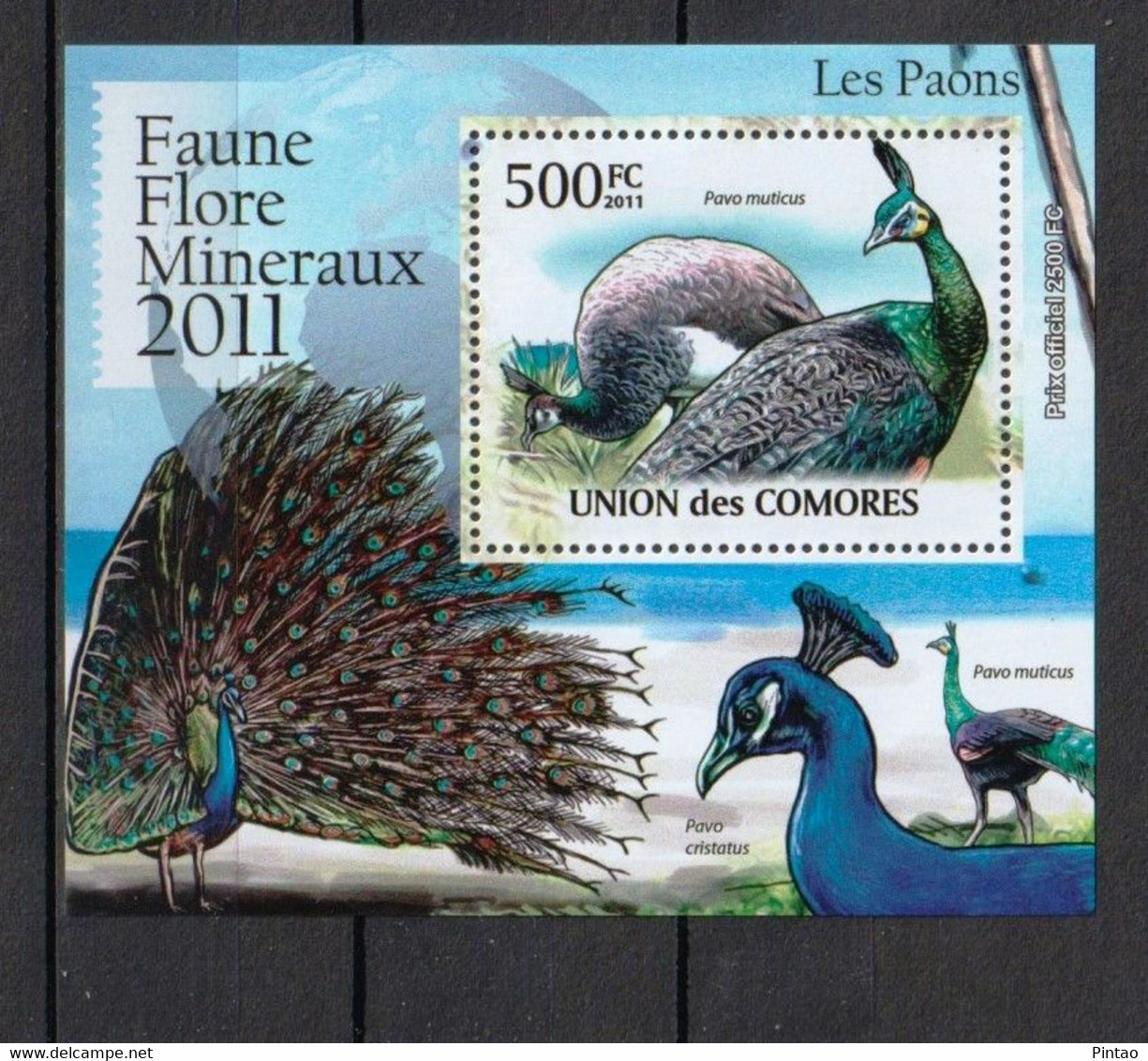 COMORES 2011 -  MNH (AVES)_  FAU0585a - Peacocks