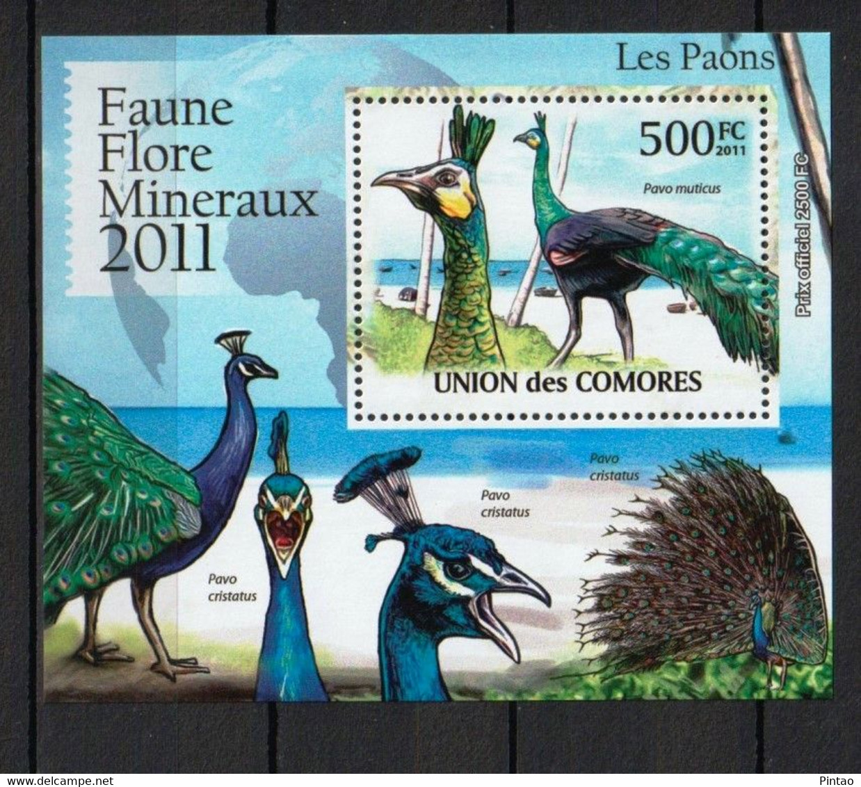 COMORES 2011 -  MNH (AVES)_  FAU0585a - Pfauen