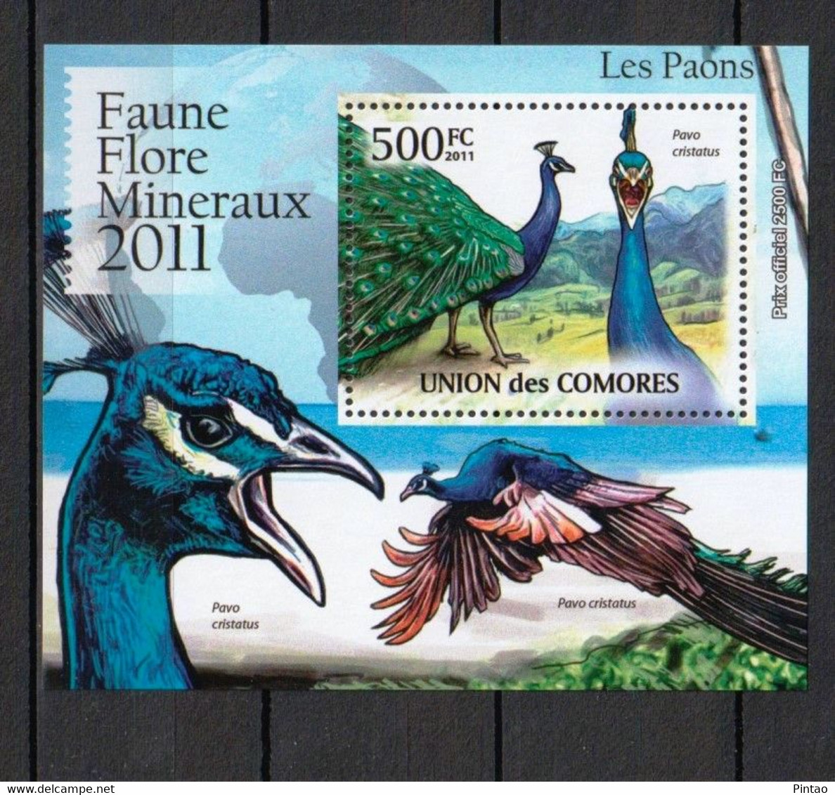 COMORES 2011 -  MNH (AVES)_  FAU0585a - Pauwen