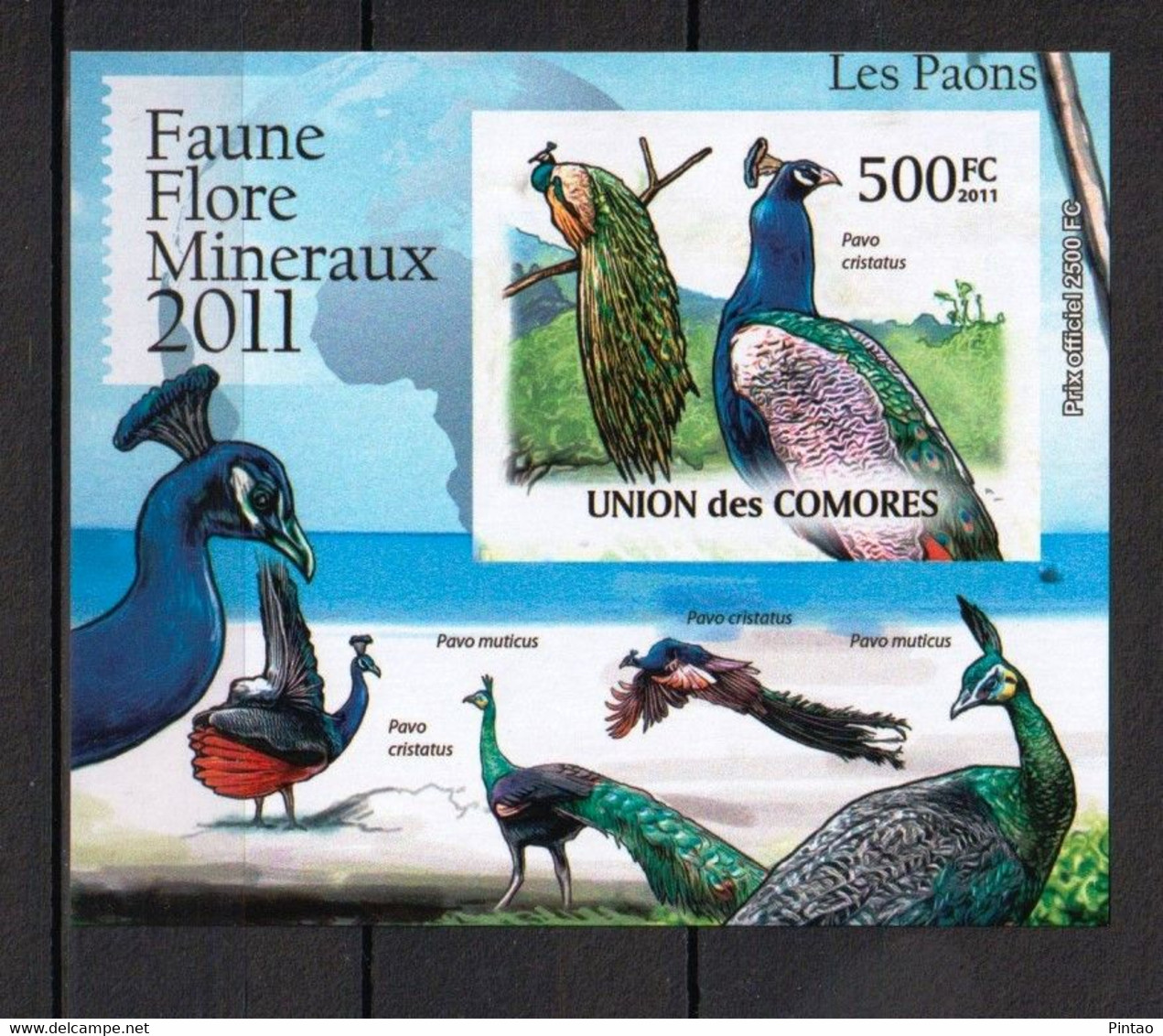 COMORES 2011 -  MNH (AVES)_  FAU0584 - Pavos Reales