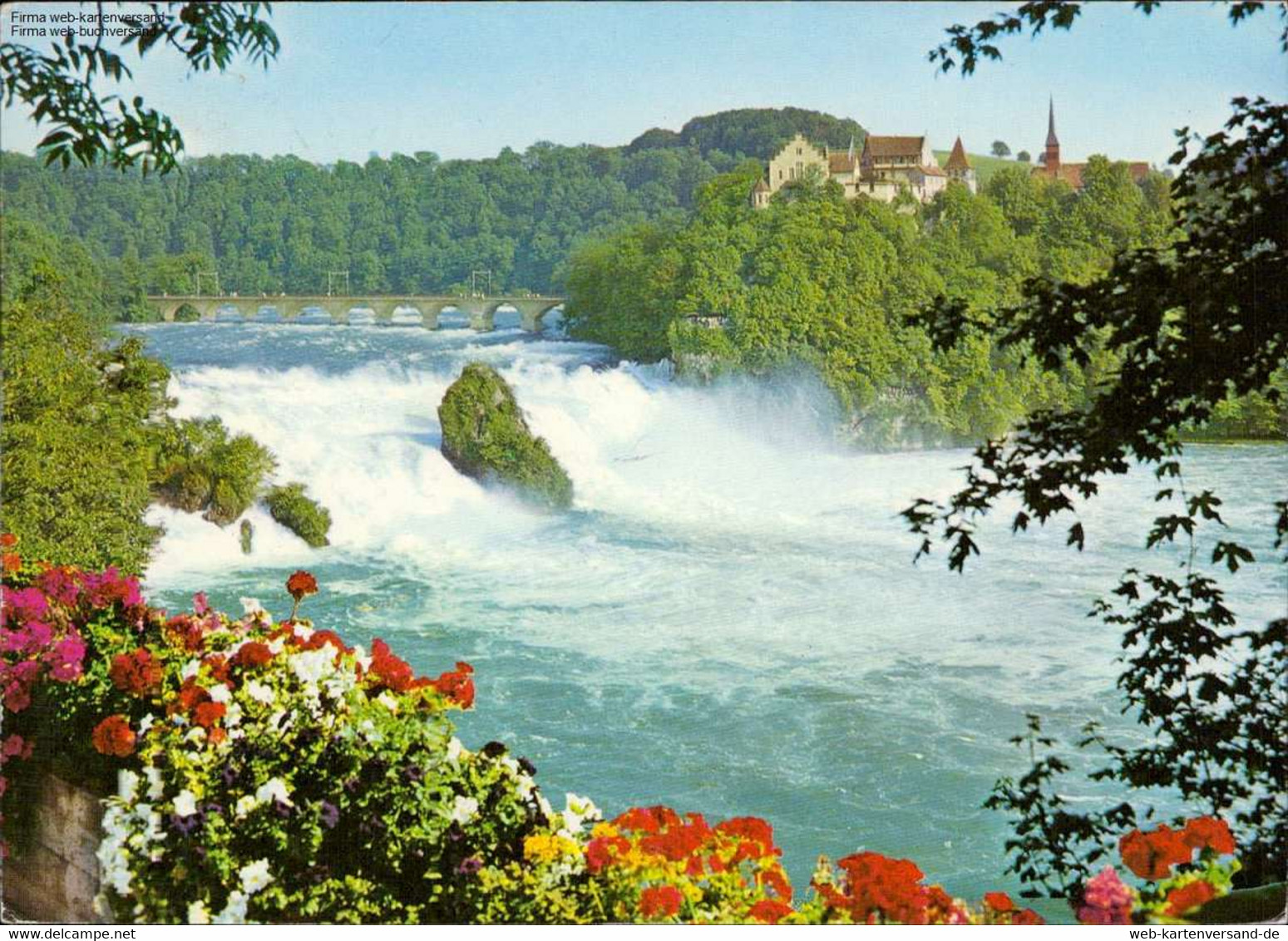 1109054 Rheinfall Mit Shloss Laufen Dachsen - Laufen-Uhwiesen 