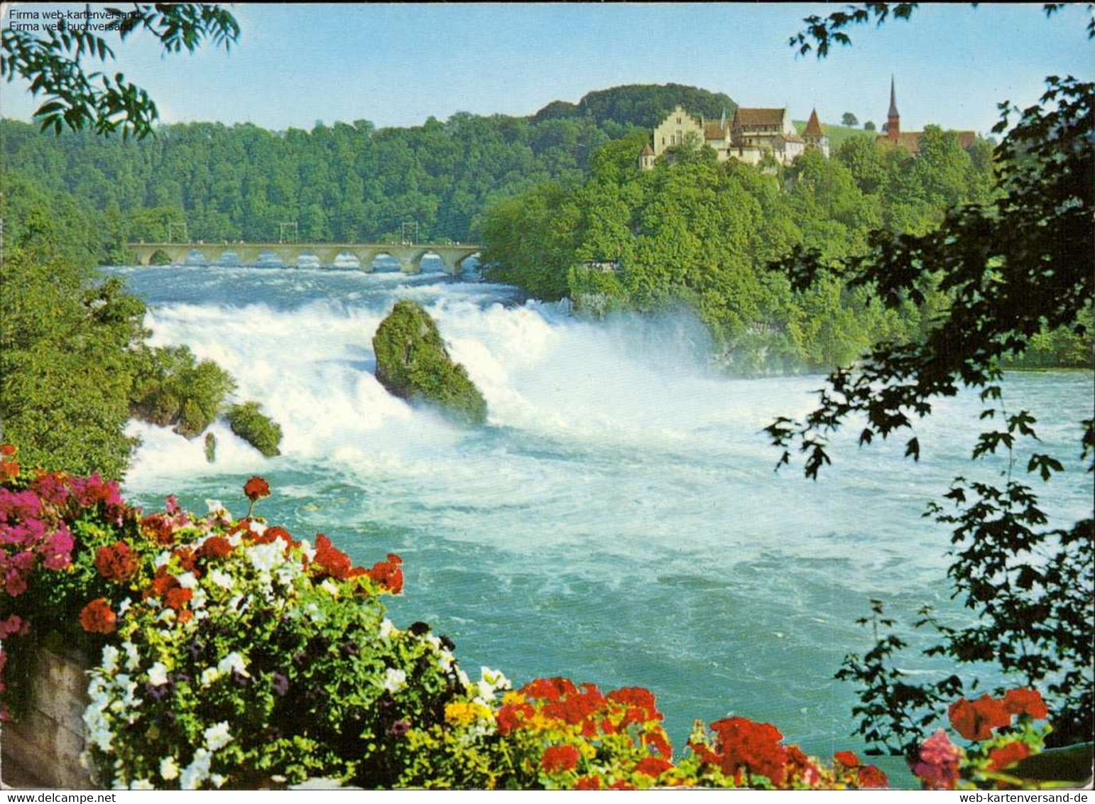 1108578 Rheinfall Mit Schloss Laufen - Dachsen - Laufen-Uhwiesen 