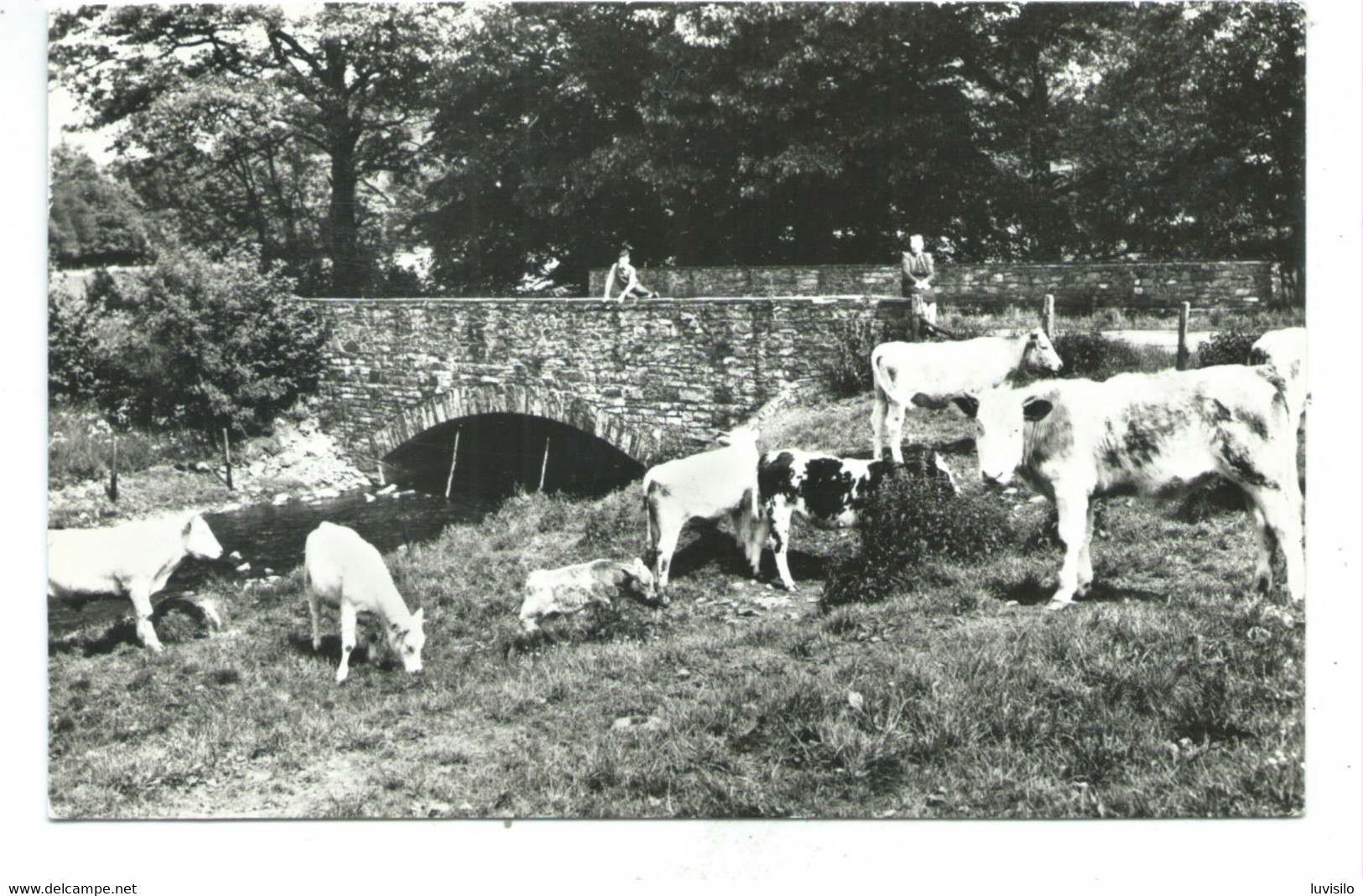 Baconfoy Tenneville Une Scène Champêtre - Tenneville