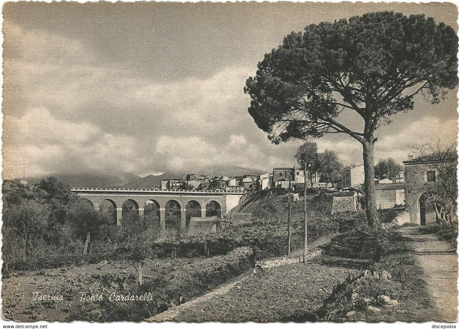 AB449 Isernia - Ponte Cardarelli - Panorama / Non Viaggiata - Isernia