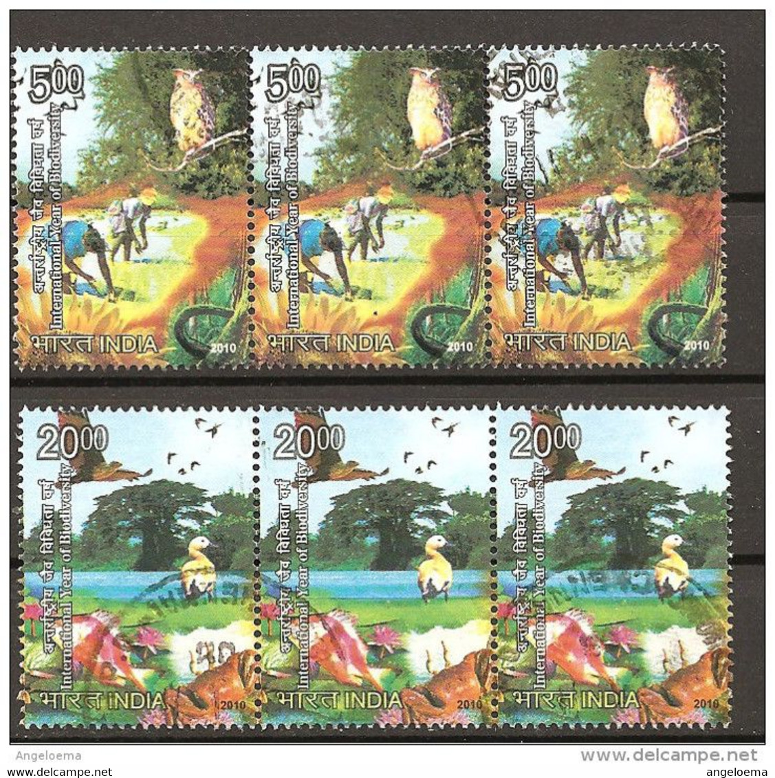 INDIA - 2010 Uccelli - Pesci 2 Strisce Da 3v. - Used Stamps