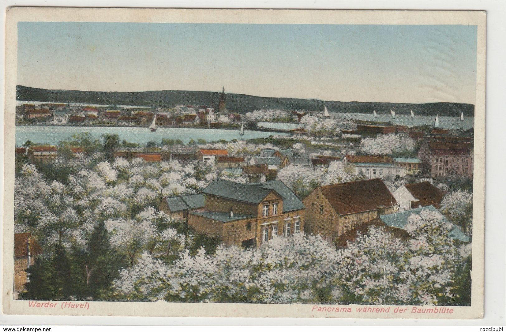 Werder, Havel, Baumblüte - Werder