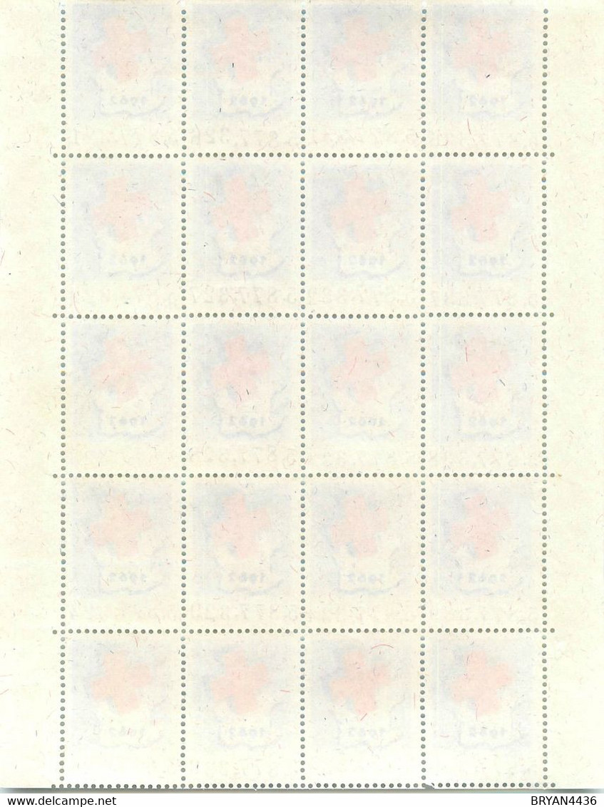 CROIX ROUGE - 1962 - BLOC FEUILLET De 20 TIMBRES VIGNETTES  Tous NUMEROTES - TRES BON ETAT - Red Cross