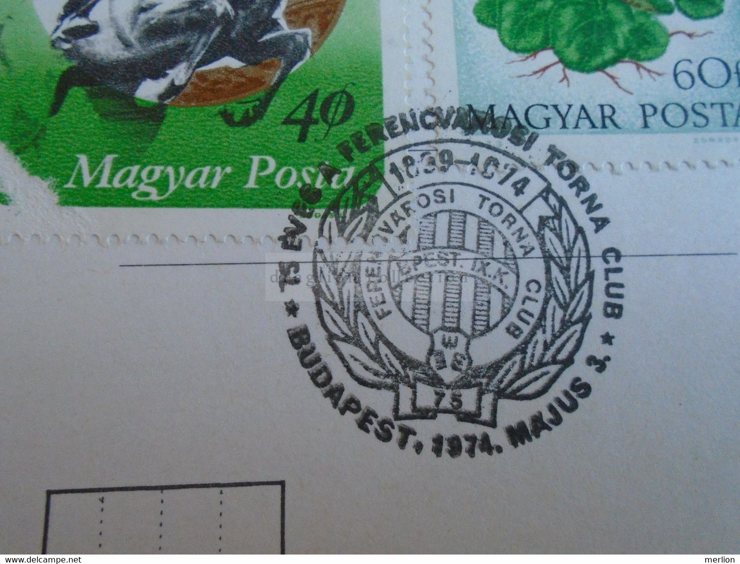 D187919 HUNGARY  Postcard   1974    Budapest - Ferencvárosi Torna Club FTC Fradi   75 Years Comm.  Soccer - Postmark Collection