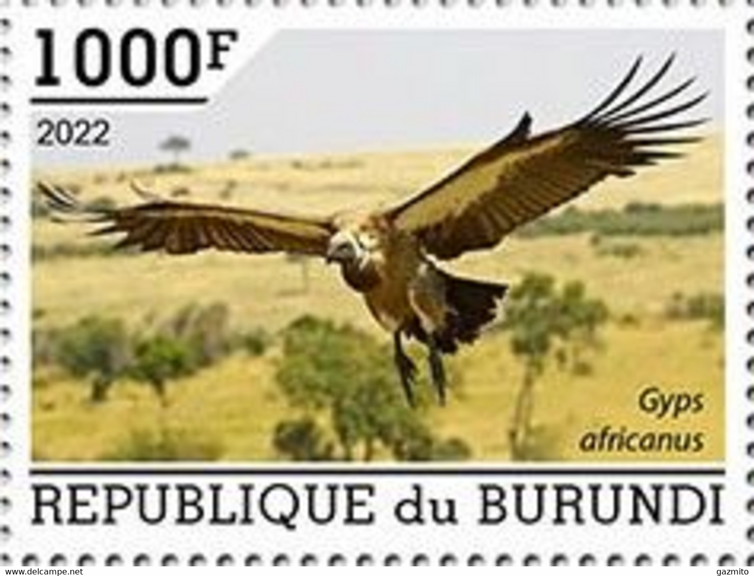 Burundi 2022, Animals, Bird Of Prey, 1val - Neufs