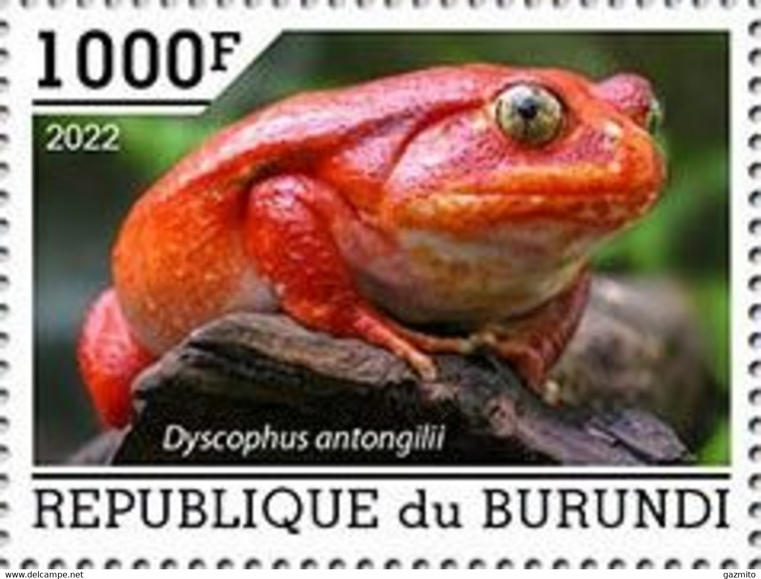 Burundi 2022, Animals, Frog, 1val - Nuevos