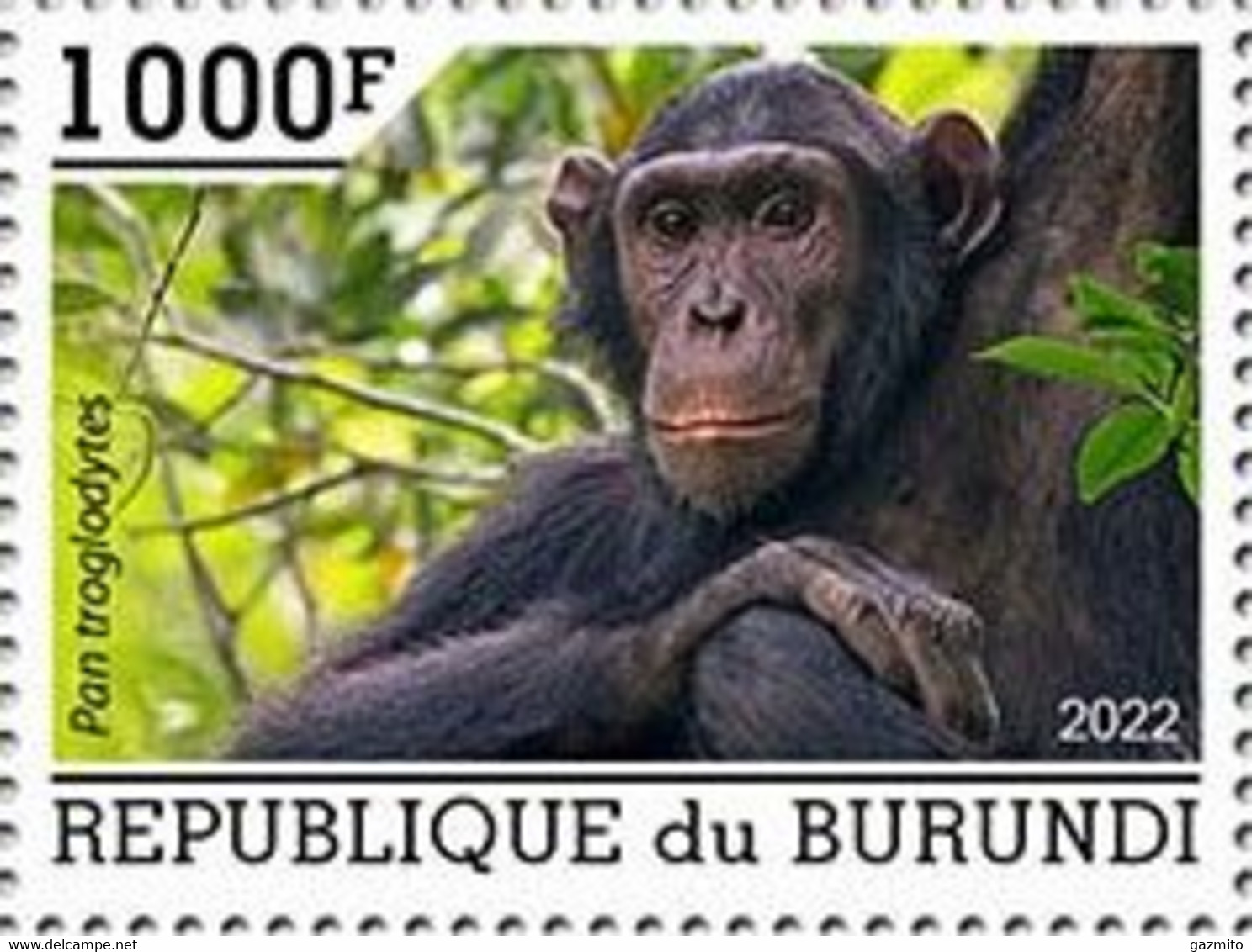 Burundi 2022, Animals, Monkey, 1val - Nuovi