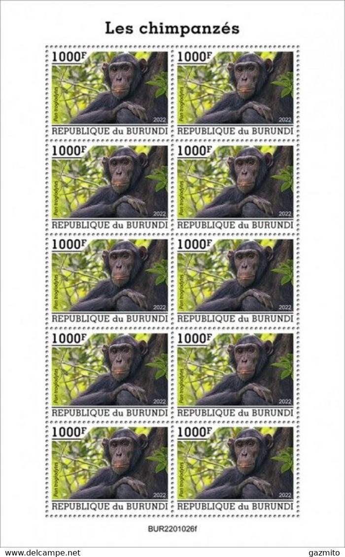 Burundi 2022, Animals, Monkey, Sheetlet - Nuevos