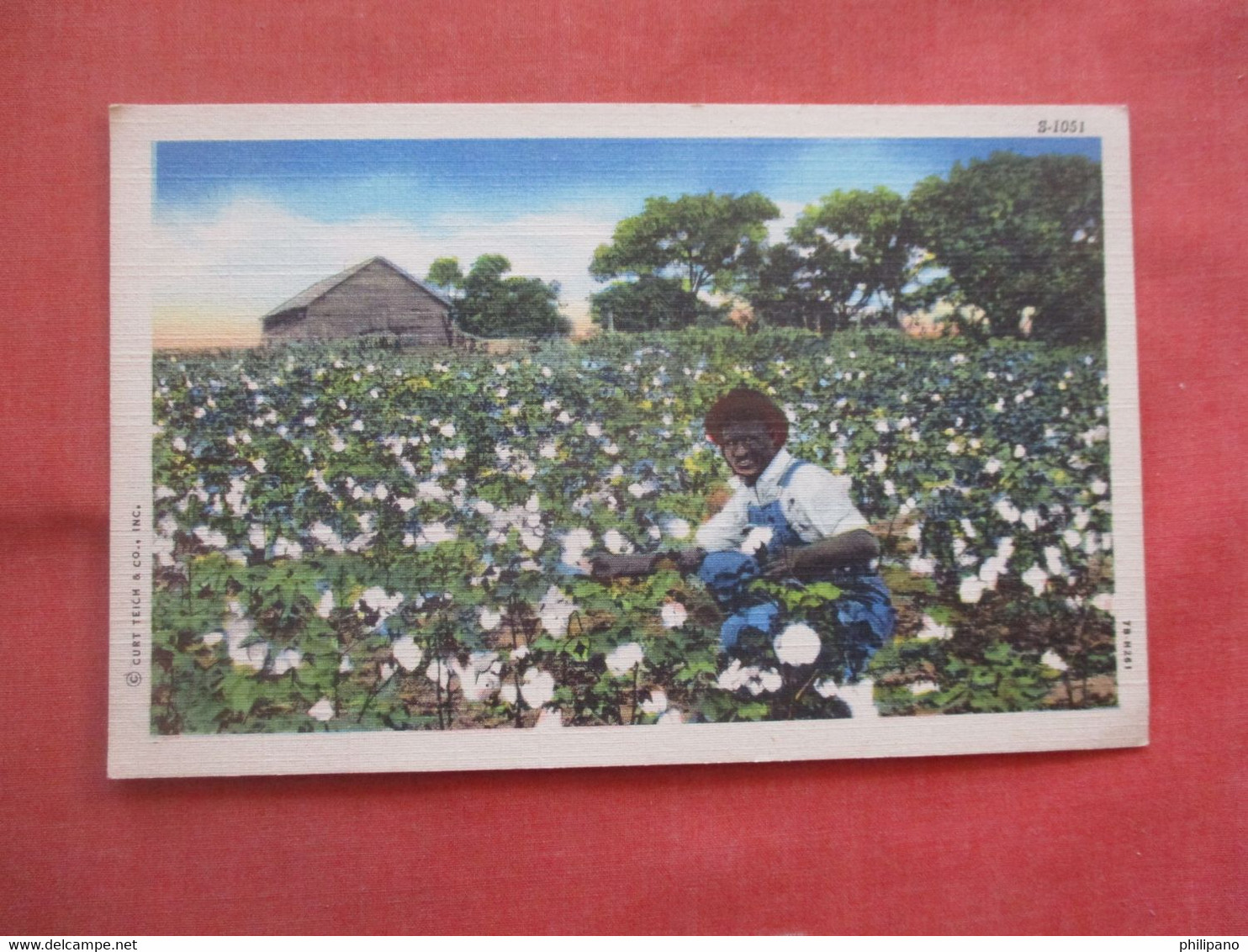 Black Americana  Cotton Picker.       Ref 5434 - Black Americana