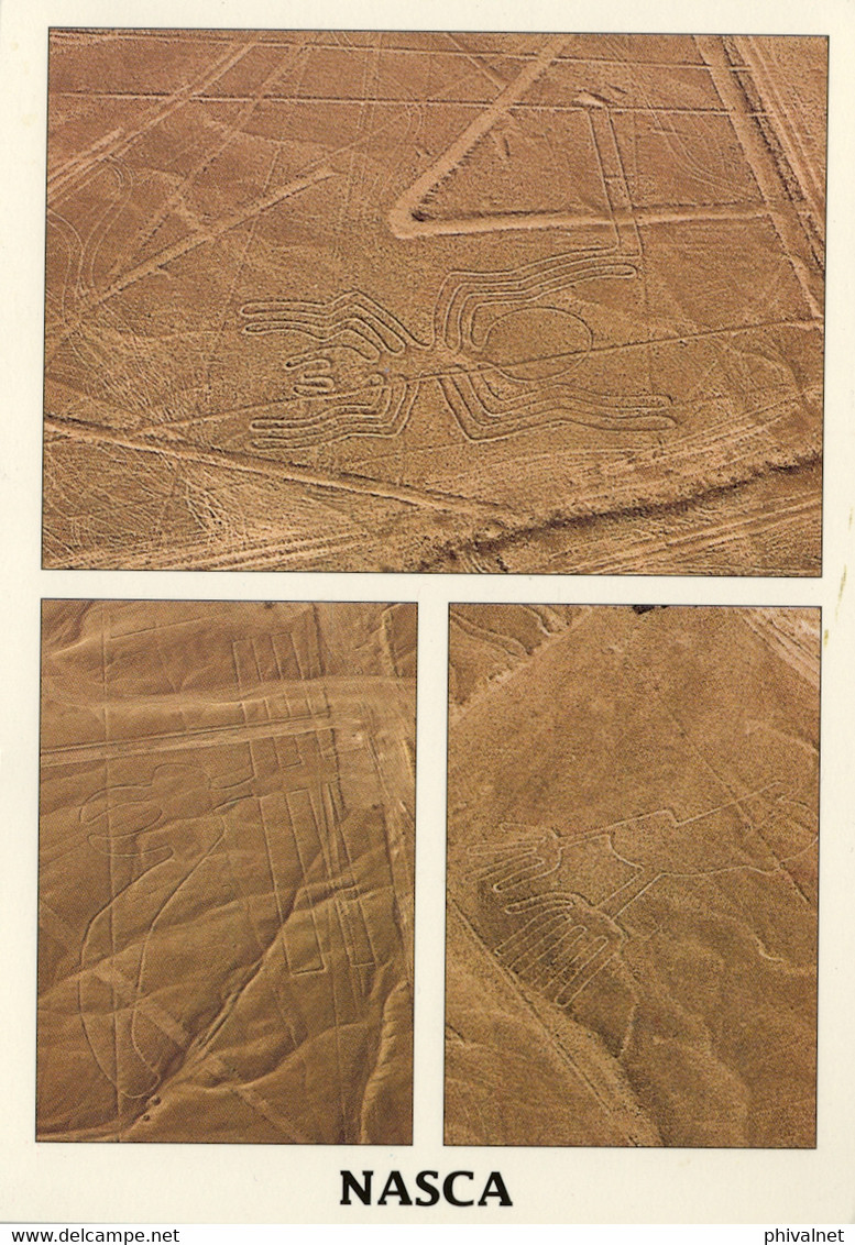 PERÚ , T.P. CIRCULADA , LINEAS DE NAZCA , ARAÑA , MANOS , PAPAGAYO - Perú