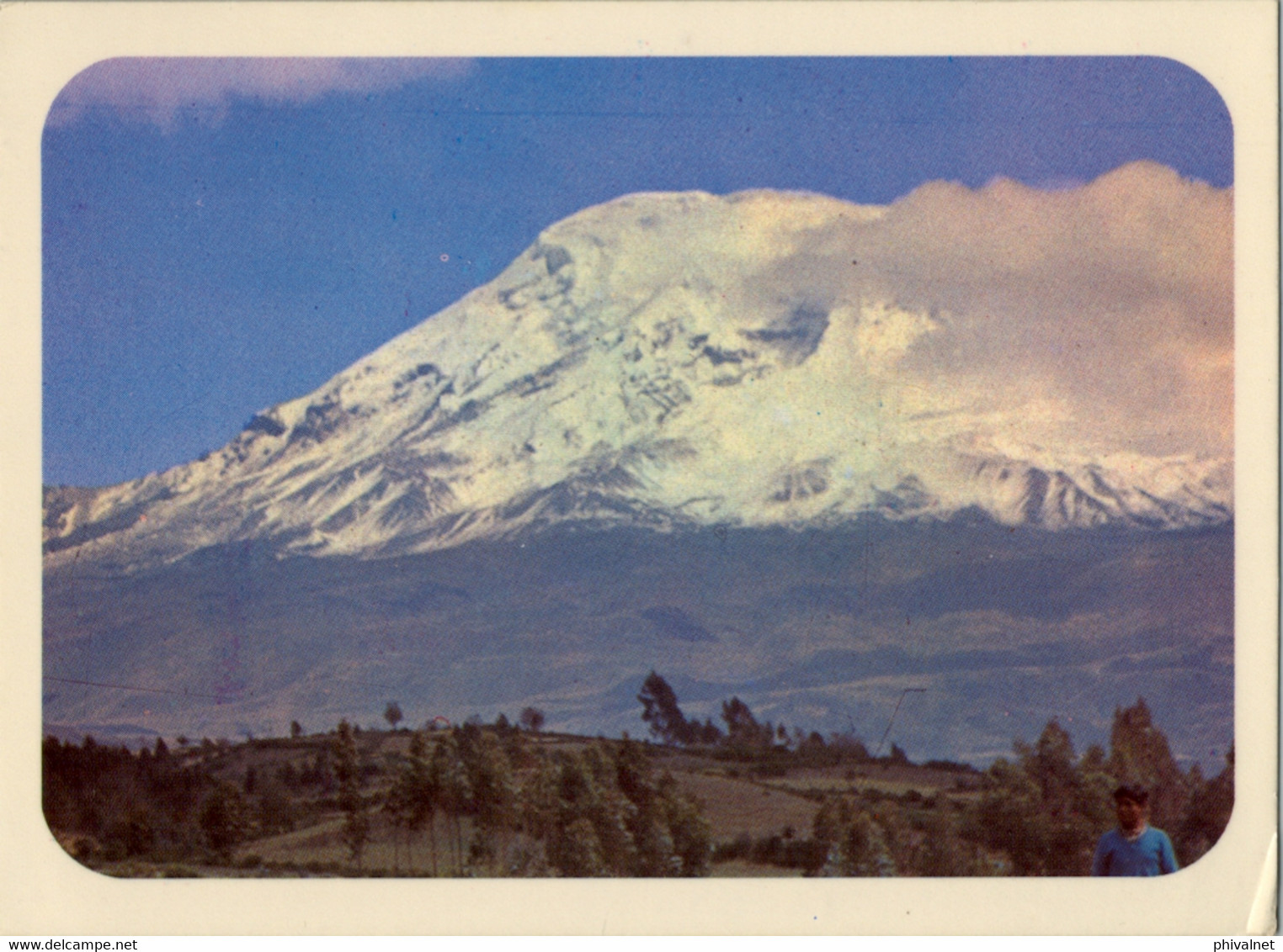 ECUADOR , T.P. CIRCULADA , EL MAJESTUOSO NEVADO CHIMBORAZO - Ecuador