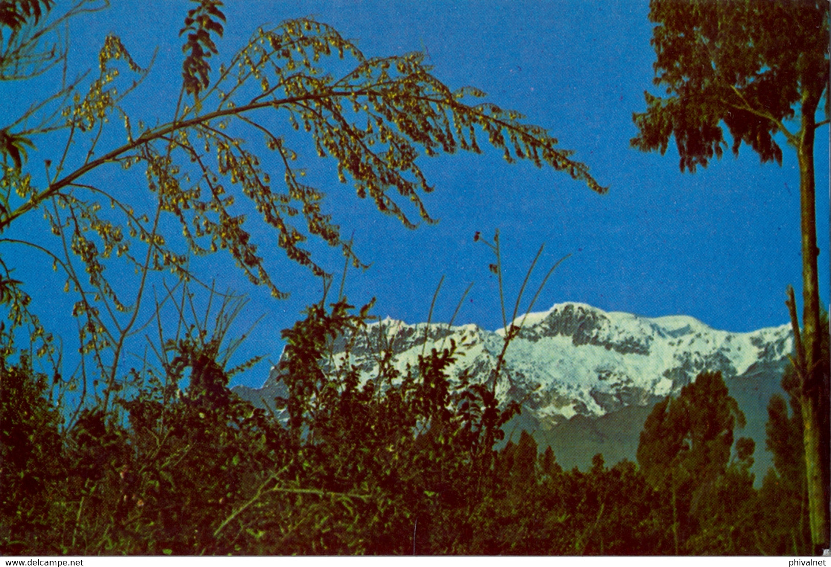 ECUADOR , T.P. CIRCULADA , EL CARIHUAIRAZO , VISTA NORTE , MONTAÑAS , MOUNTAINS - Ecuador